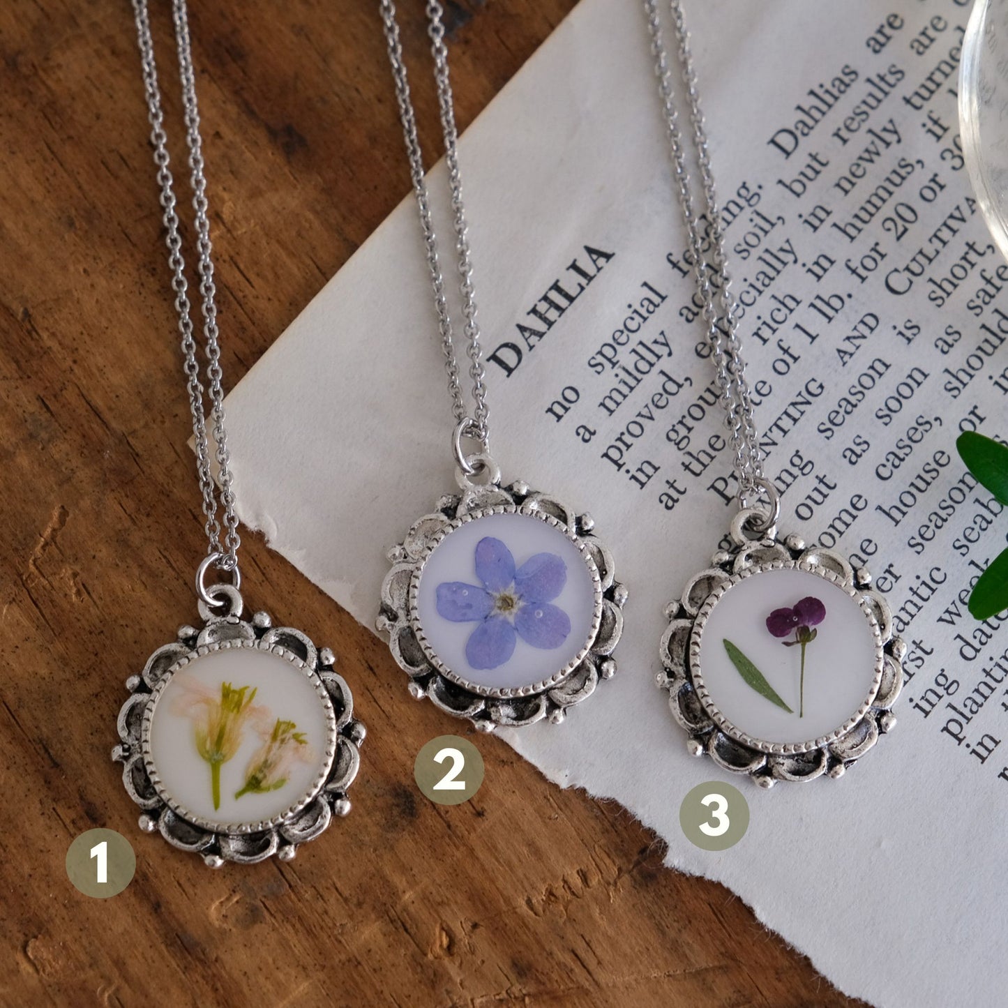 Ornate Scalloped Edge Pressed Flower Necklace with White Background