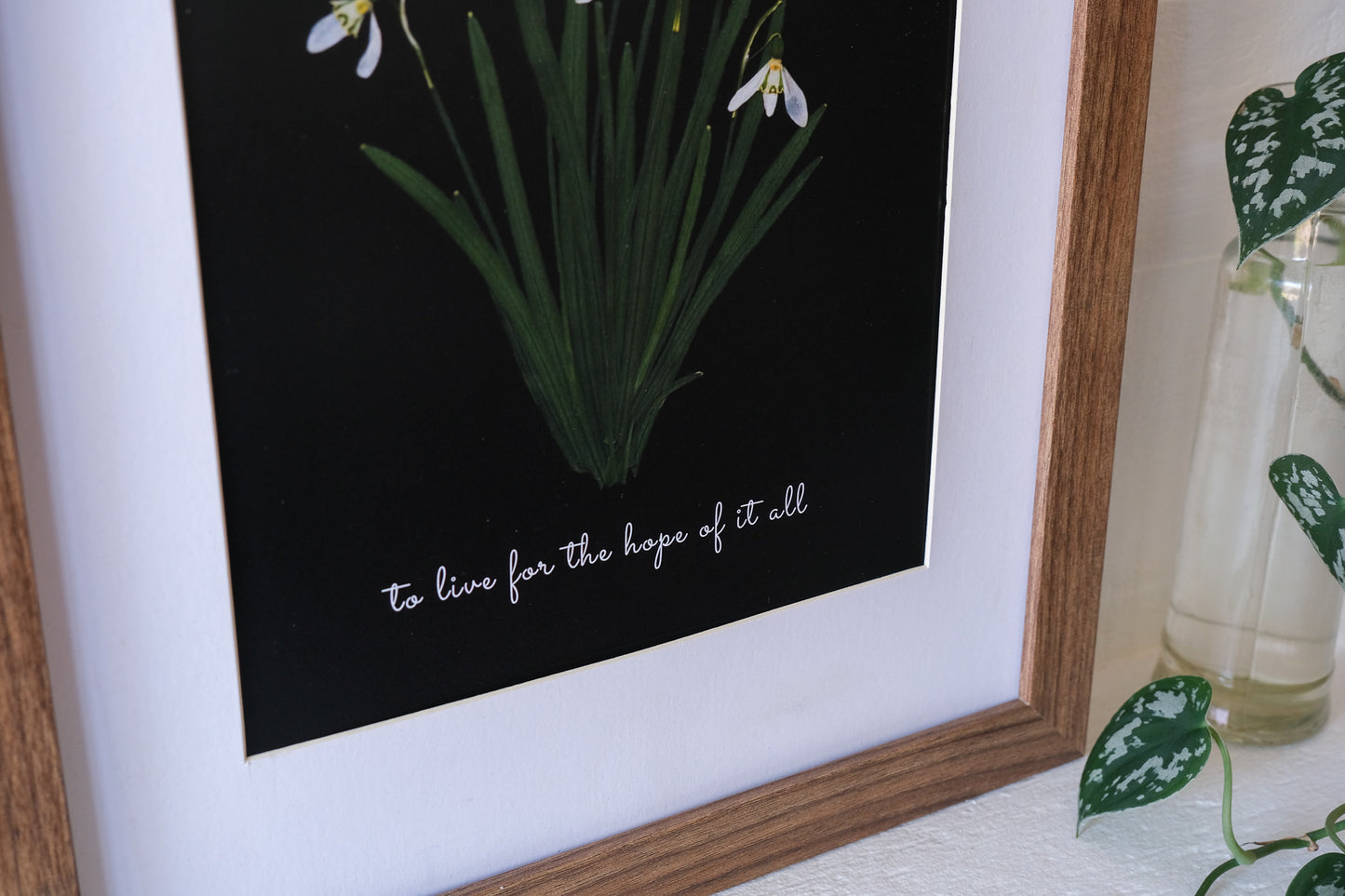 folklore 'august' Pressed Snowdrop Print | Taylor Swift Flower Print