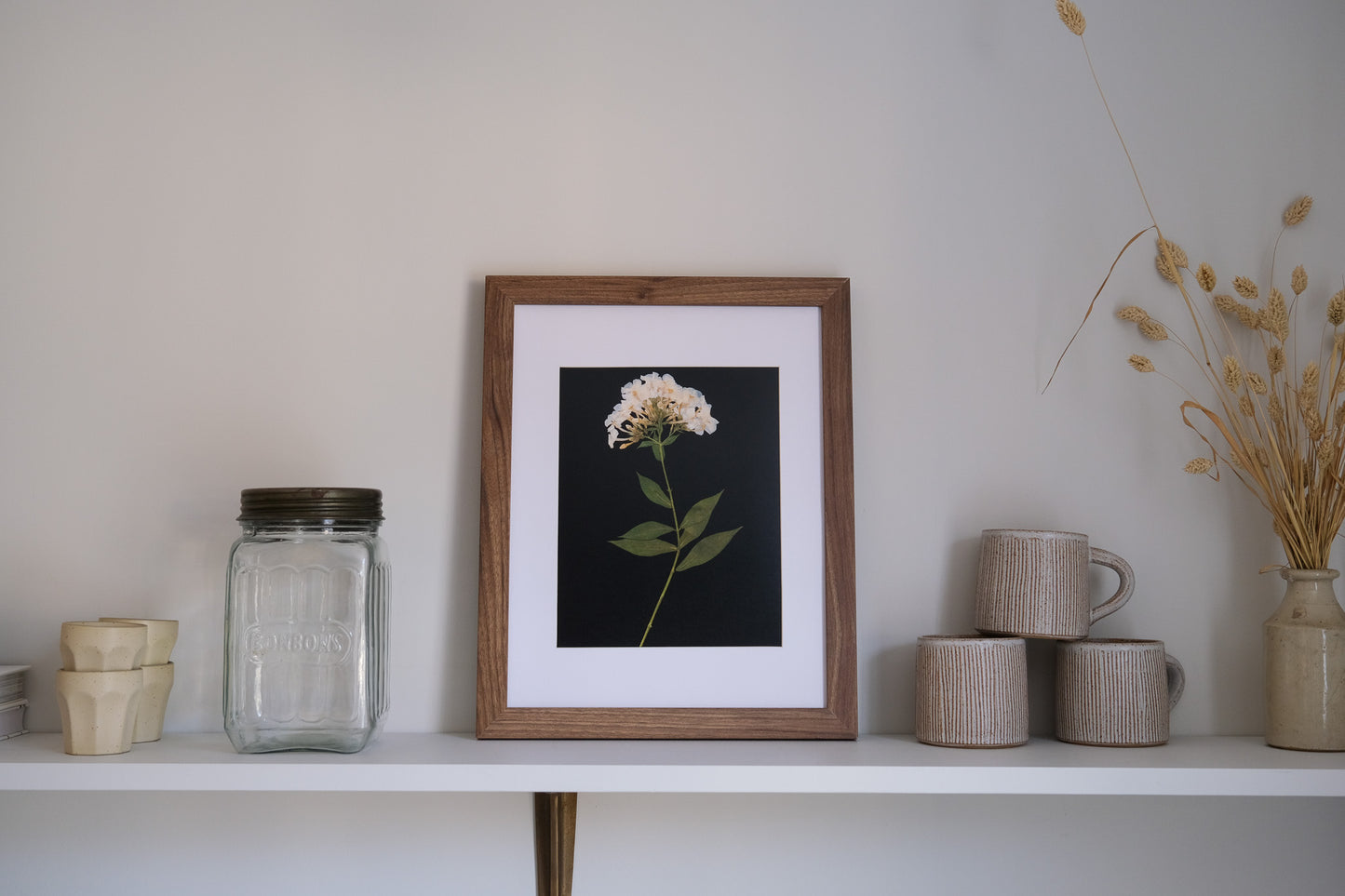 White Phlox Pressed Flower Print on Black Background