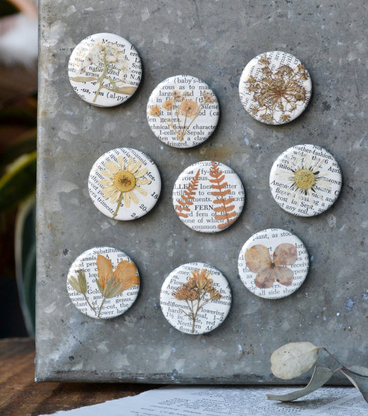 Real pressed flowers and leaves magnets on pages from a vintage gardening encycolpedia.
