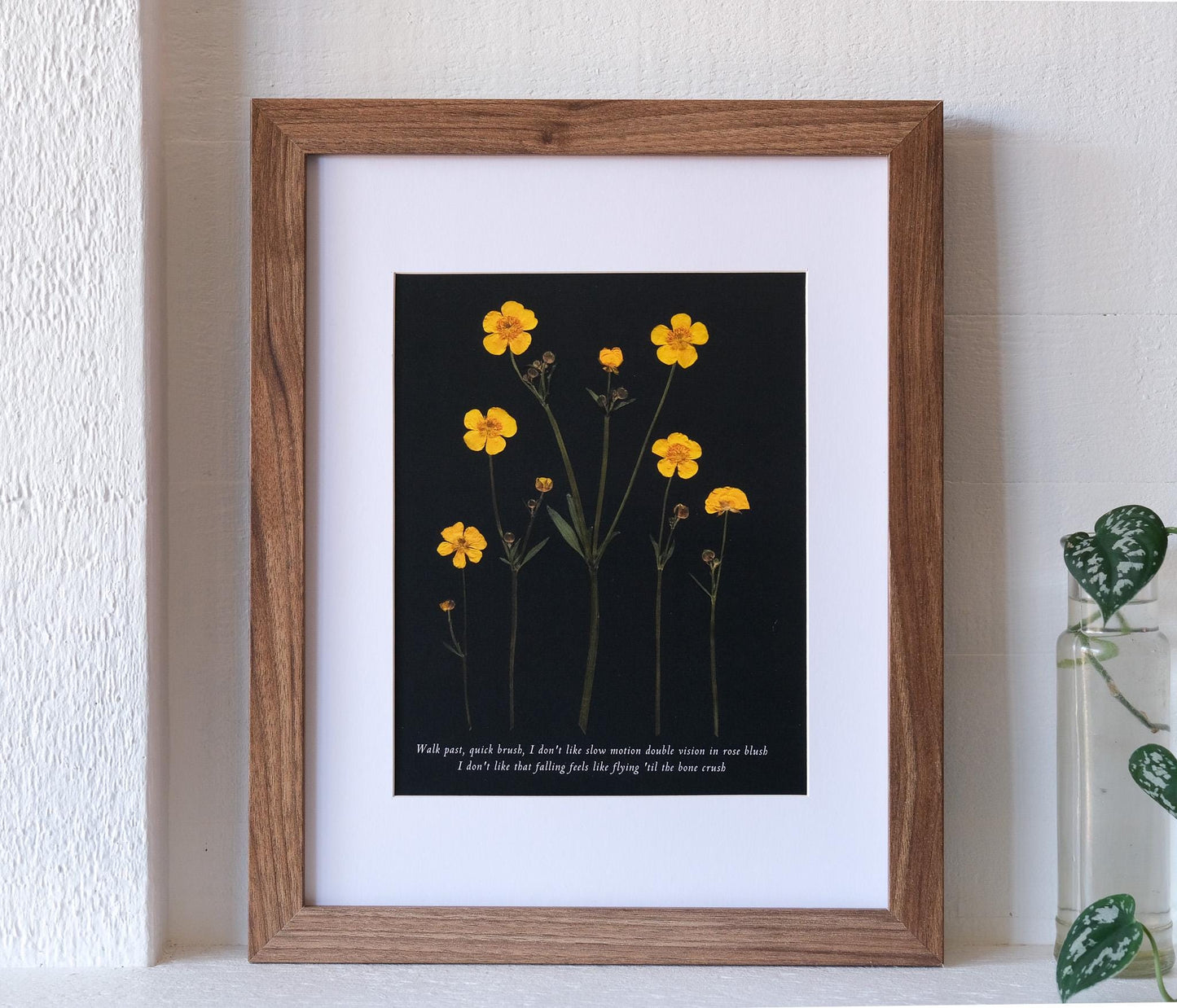 Pressed buttercup flower print with black background. Taylor Swift's Gold Rush lyrics are written in script at the bottom of the print.