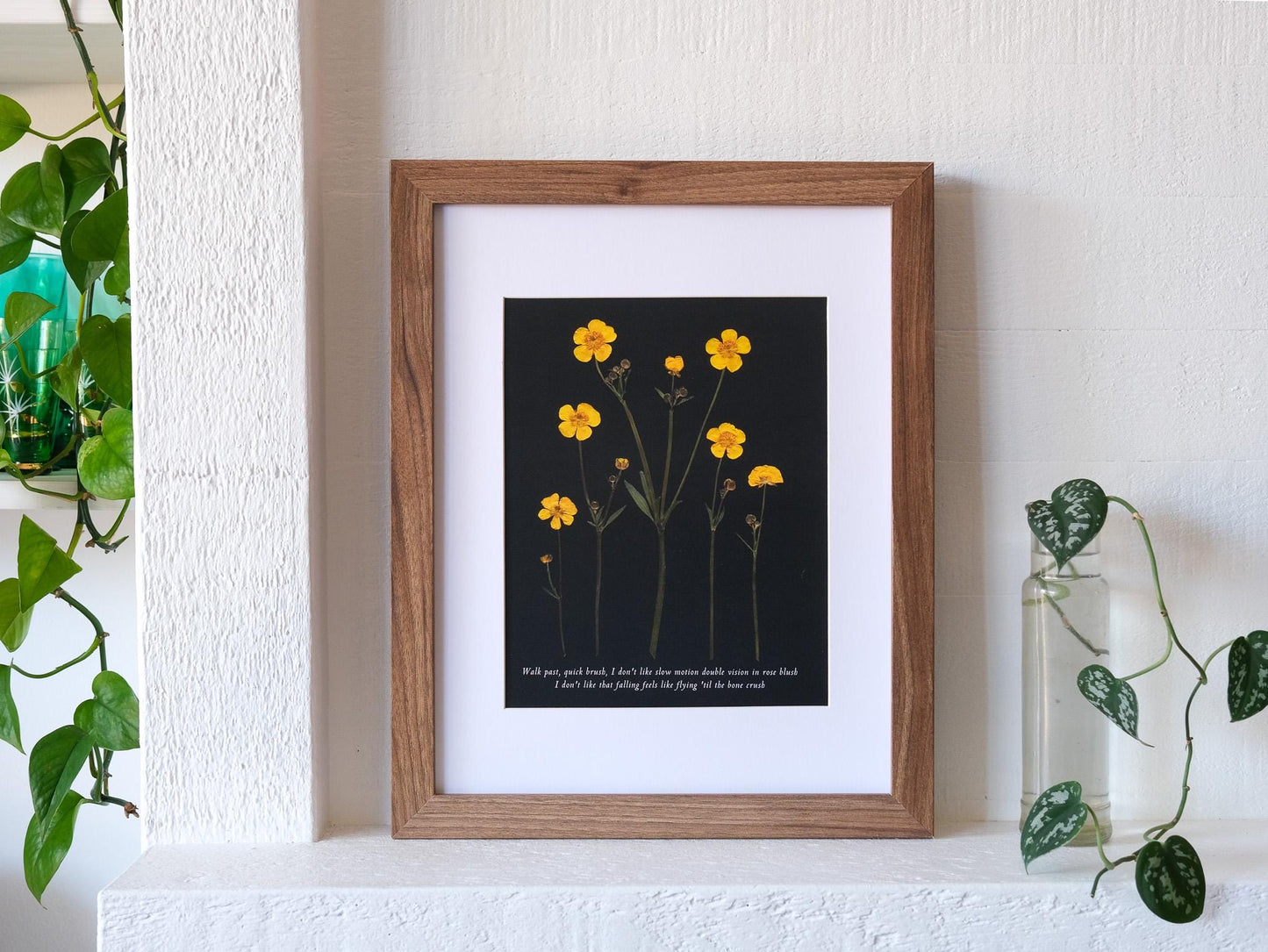 Pressed buttercup flower print with black background. Taylor Swift's Gold Rush lyrics are written in script at the bottom of the print.