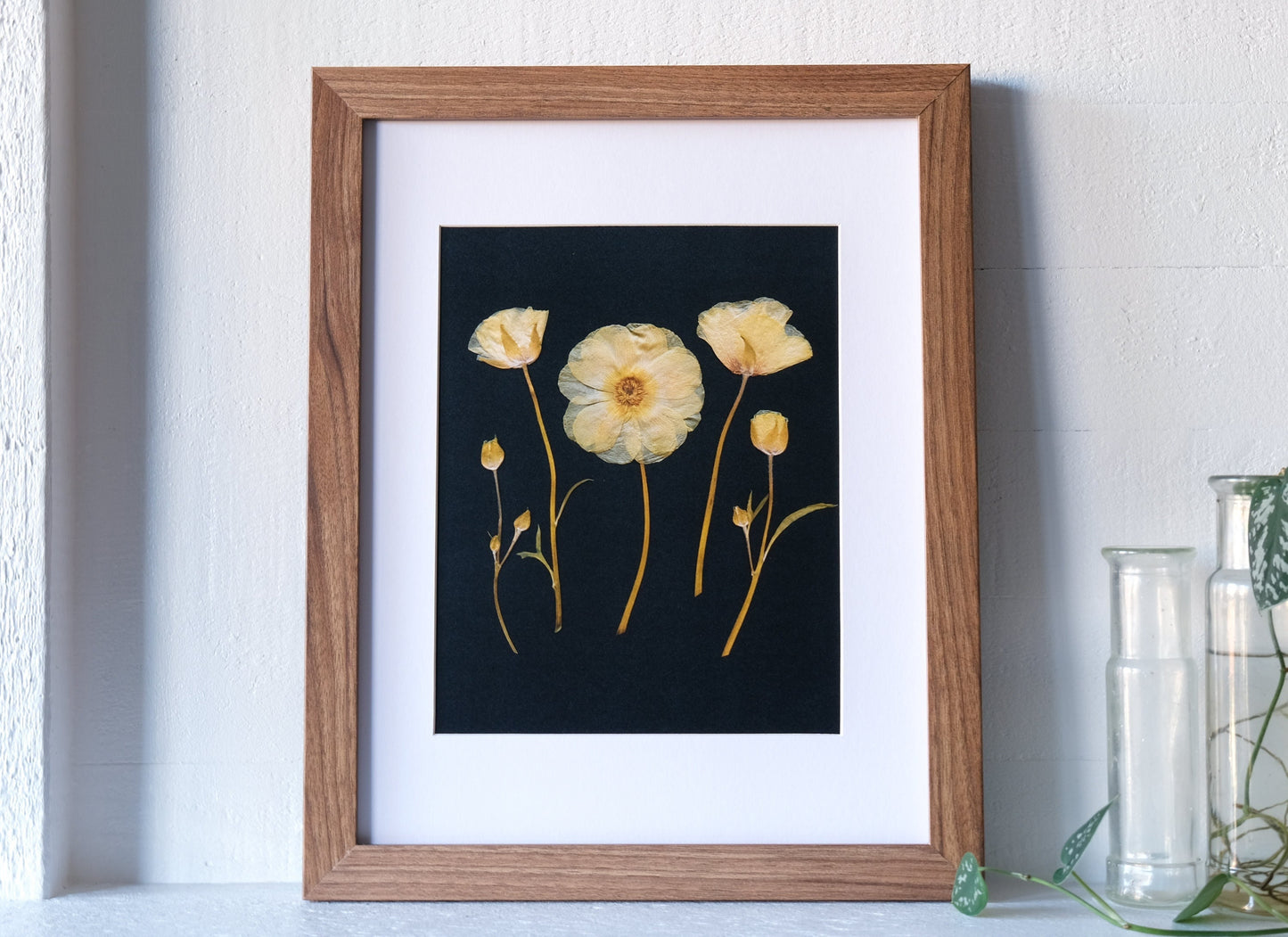 A lifelike reproduction of my original pressed flower art, featuring pressed yellow butterfly ranunculus. Complete with a card outlining the language of flowers symbolism.