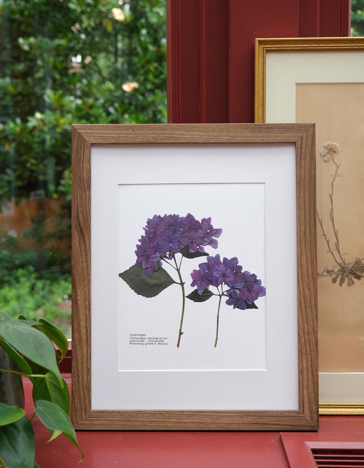 Purple Hydrangea Pressed Flower Print
