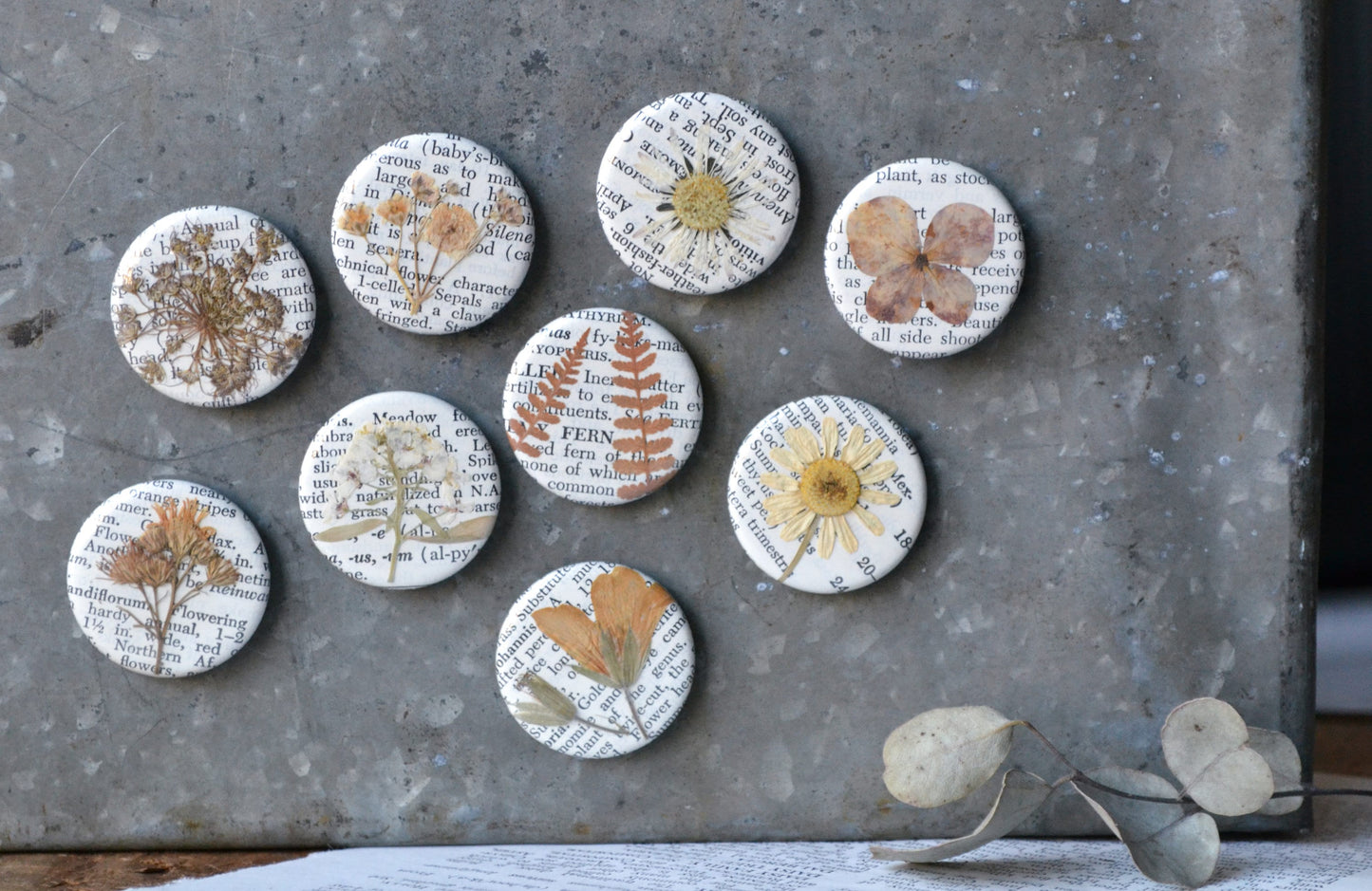 Set of Real Pressed Flower Magnets - Neutral Shades