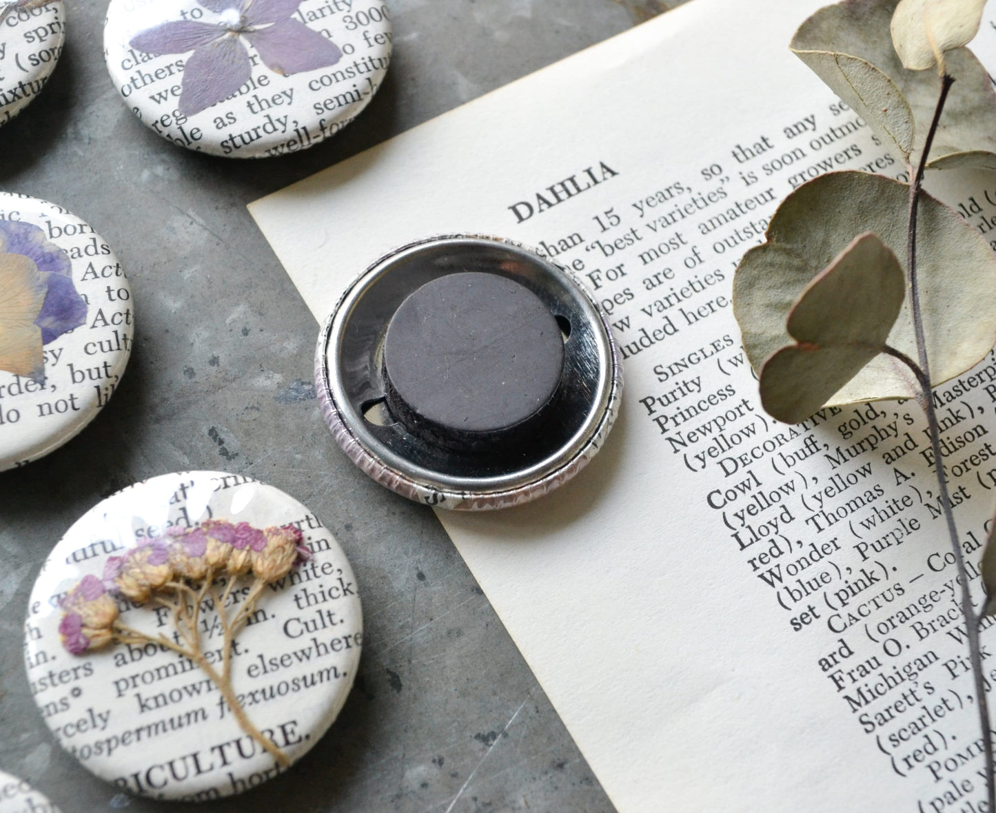 Set of Real Pressed Flower Magnets - Purple & Pink Tones