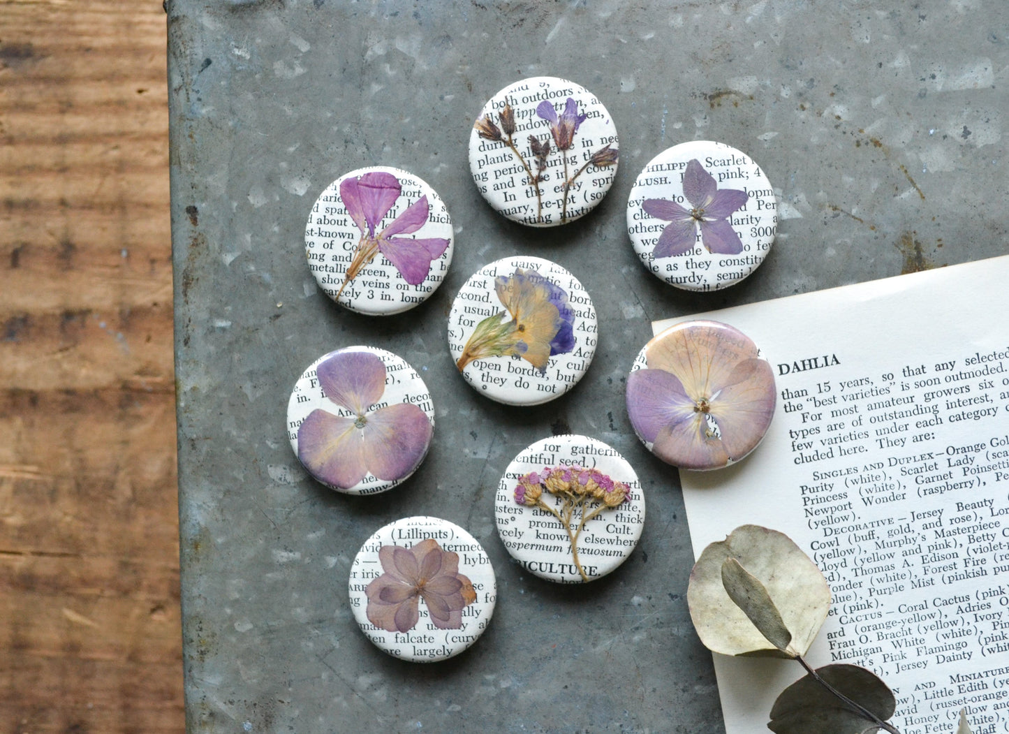 Set of Real Pressed Flower Magnets - Purple & Pink Tones