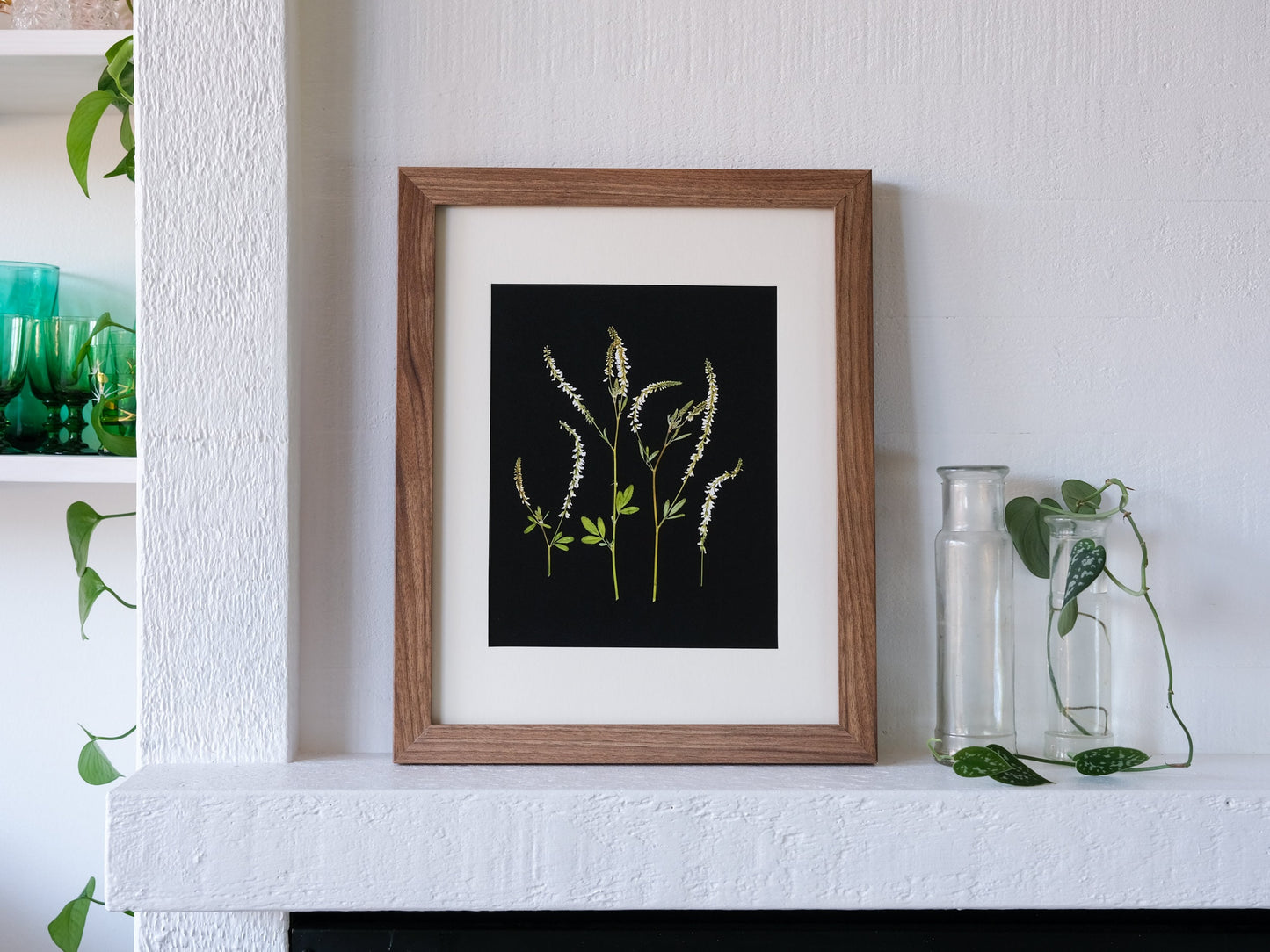 White Sweet Clover Pressed Flower Print | 8x10