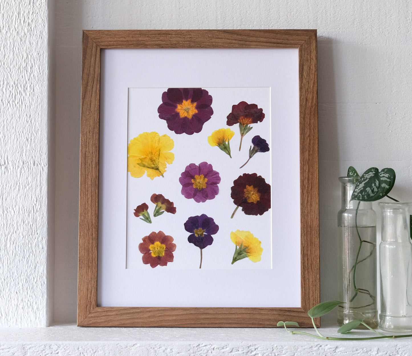 Primrose Pressed Flower Art Print | 8x10