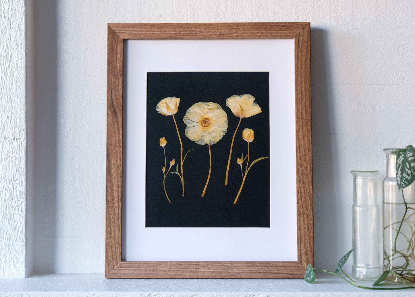 Yellow Ranunculus Group Pressed Flower Print | 8x10