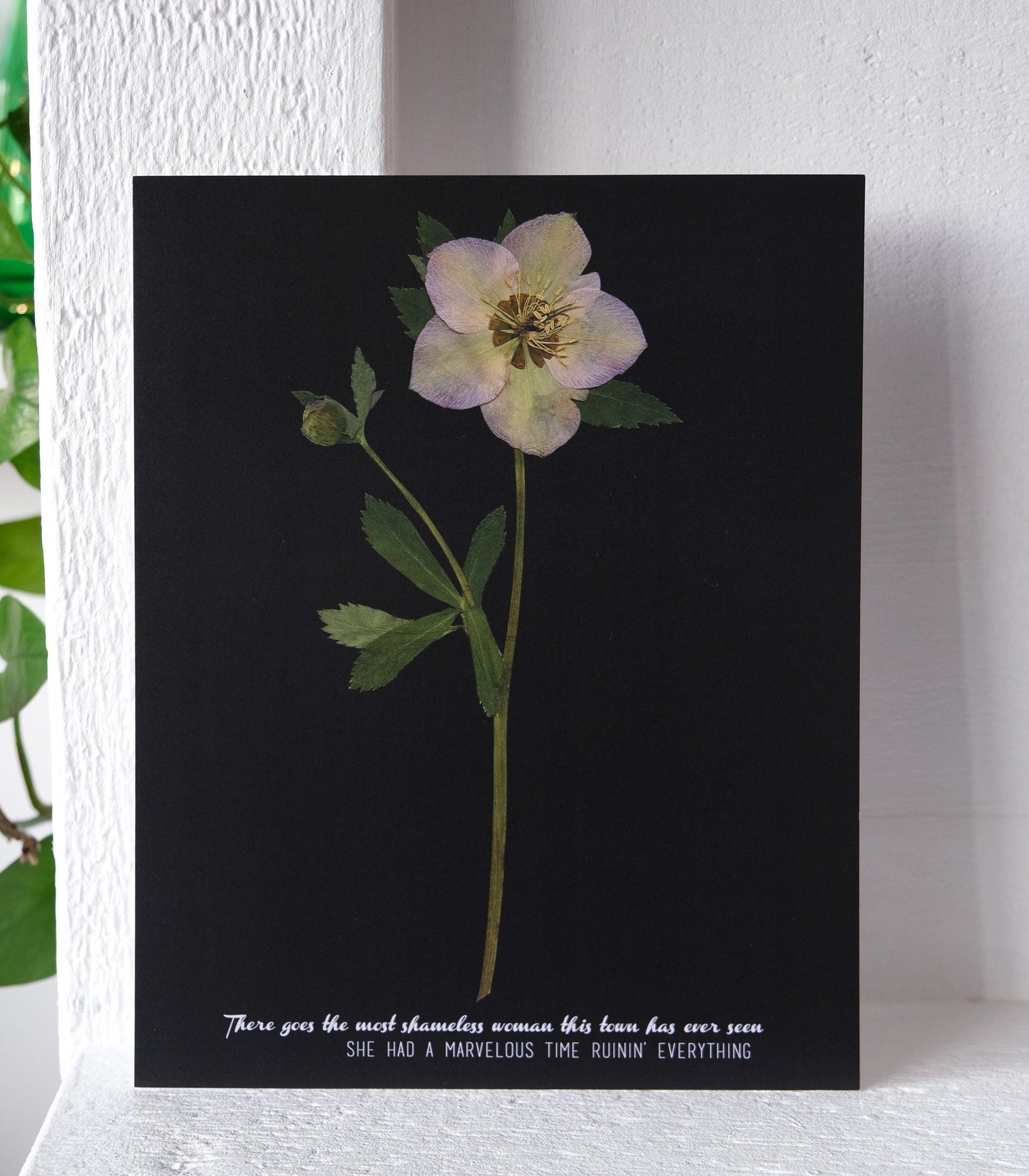 folklore 'last great american dynasty' Pressed Hellebore Print | Taylor Swift Flower Print