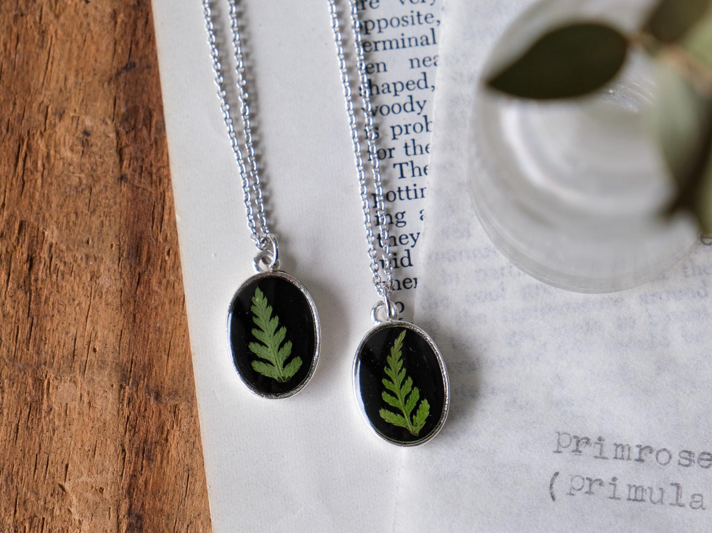 Real Pressed Fern Necklace on Black Background