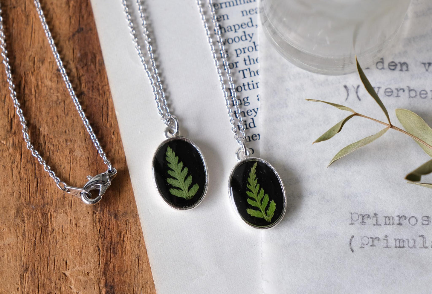 Real Pressed Fern Necklace on Black Background