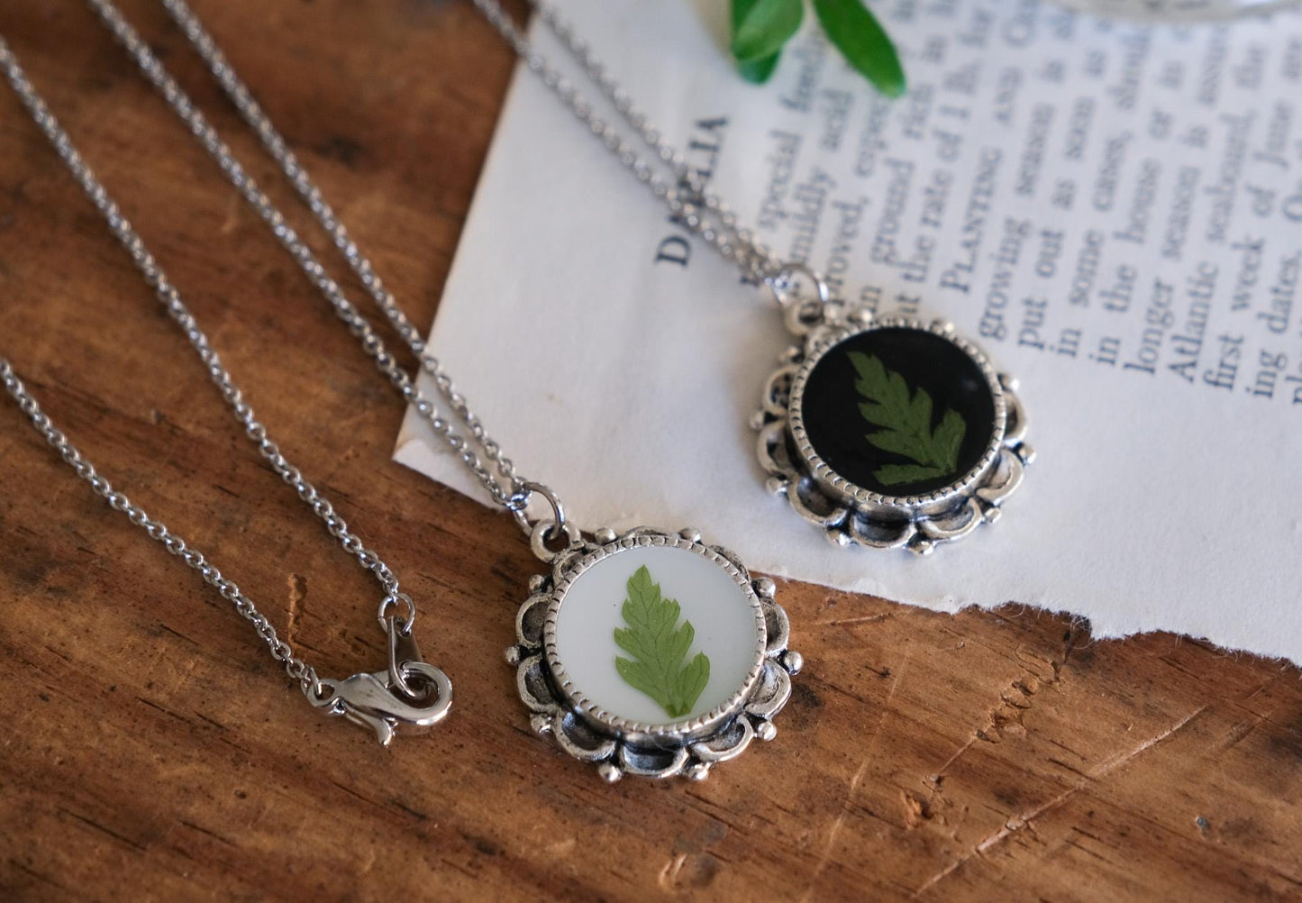 Real Pressed Fern Necklace on White or Black Background