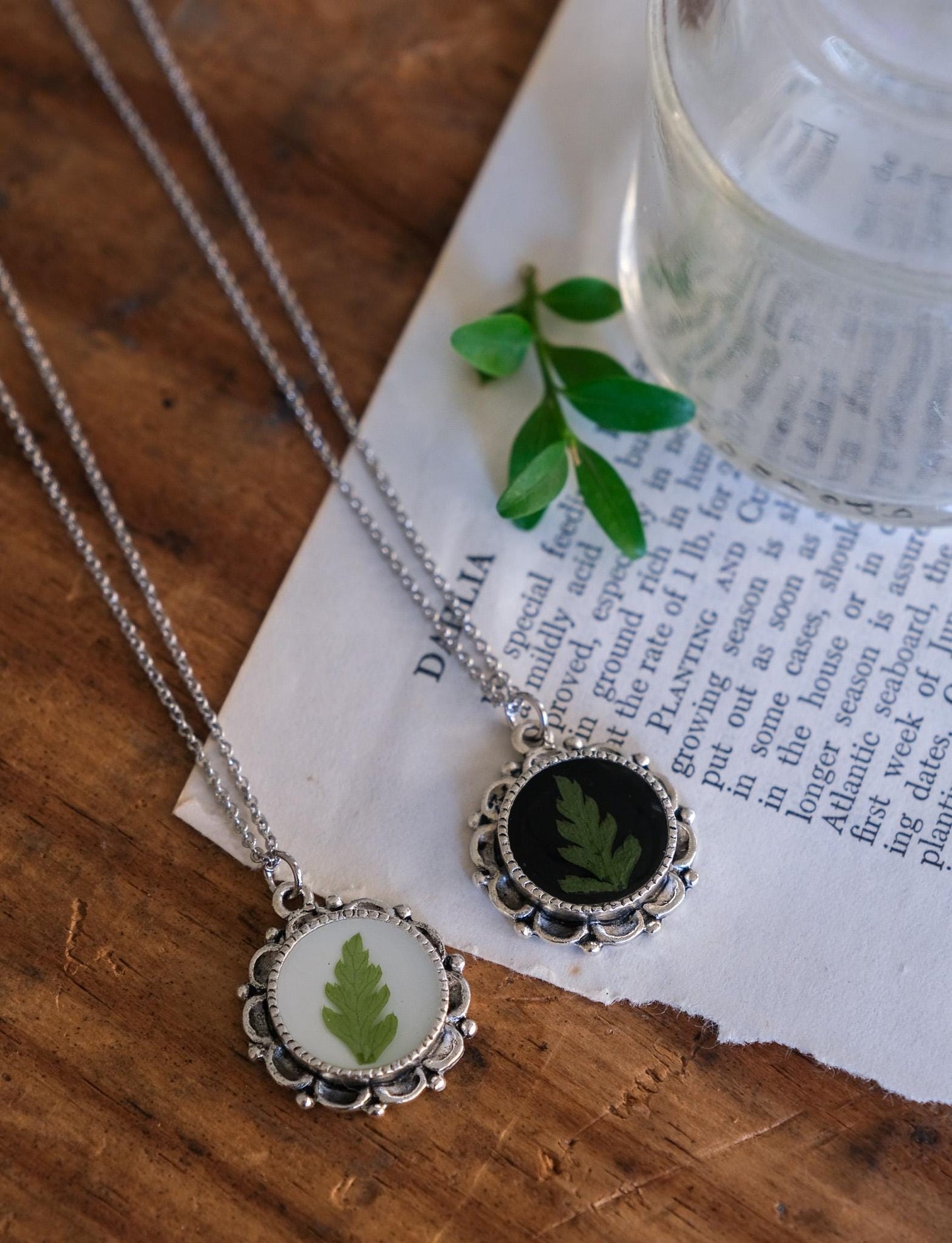 Real Pressed Fern Necklace on White or Black Background