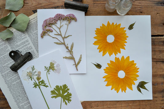 Vancouver Botanical Art Workshop | Learn to Create Pressed Flower Art, July 20