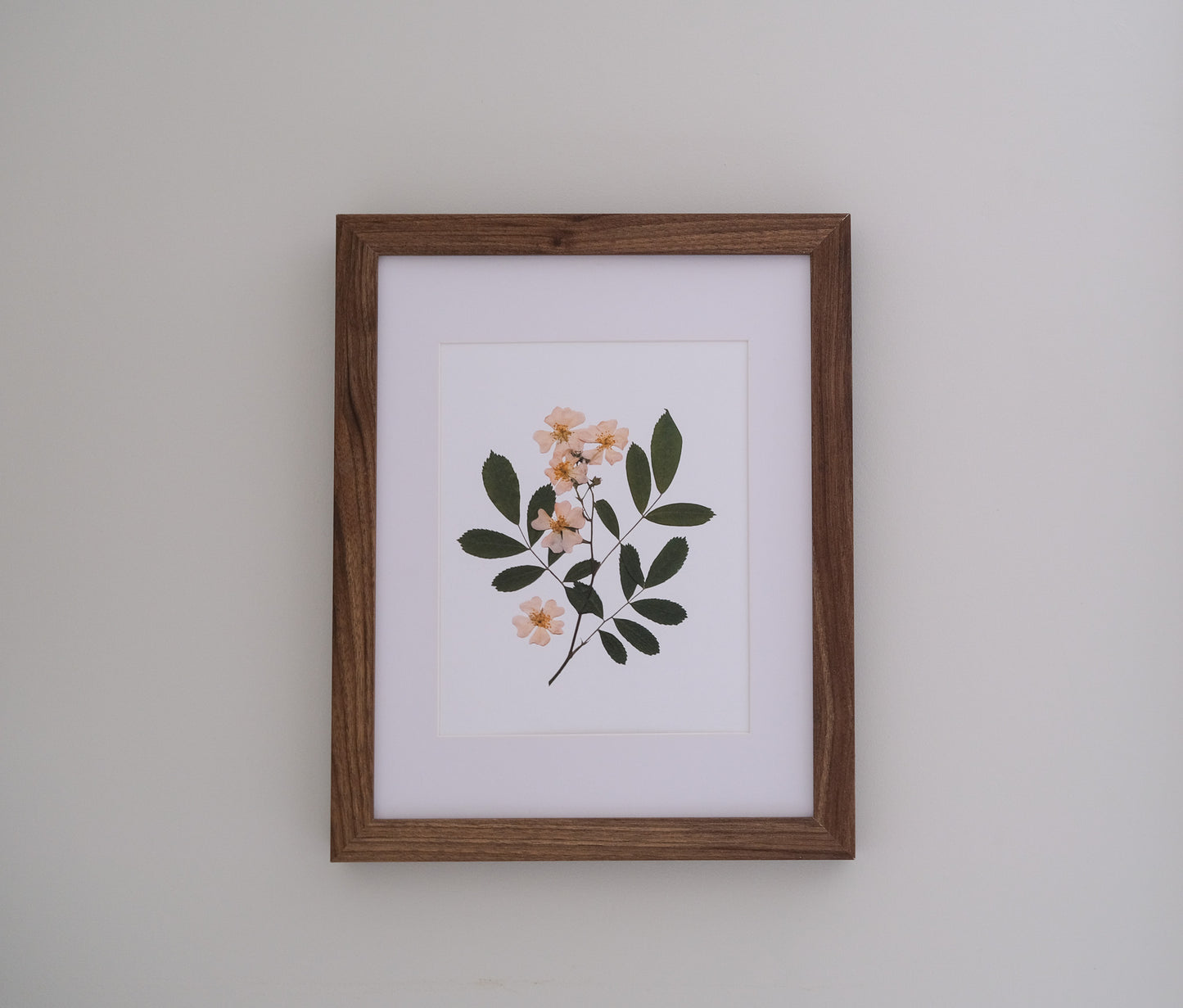 Wild Rose Pressed Flower Print