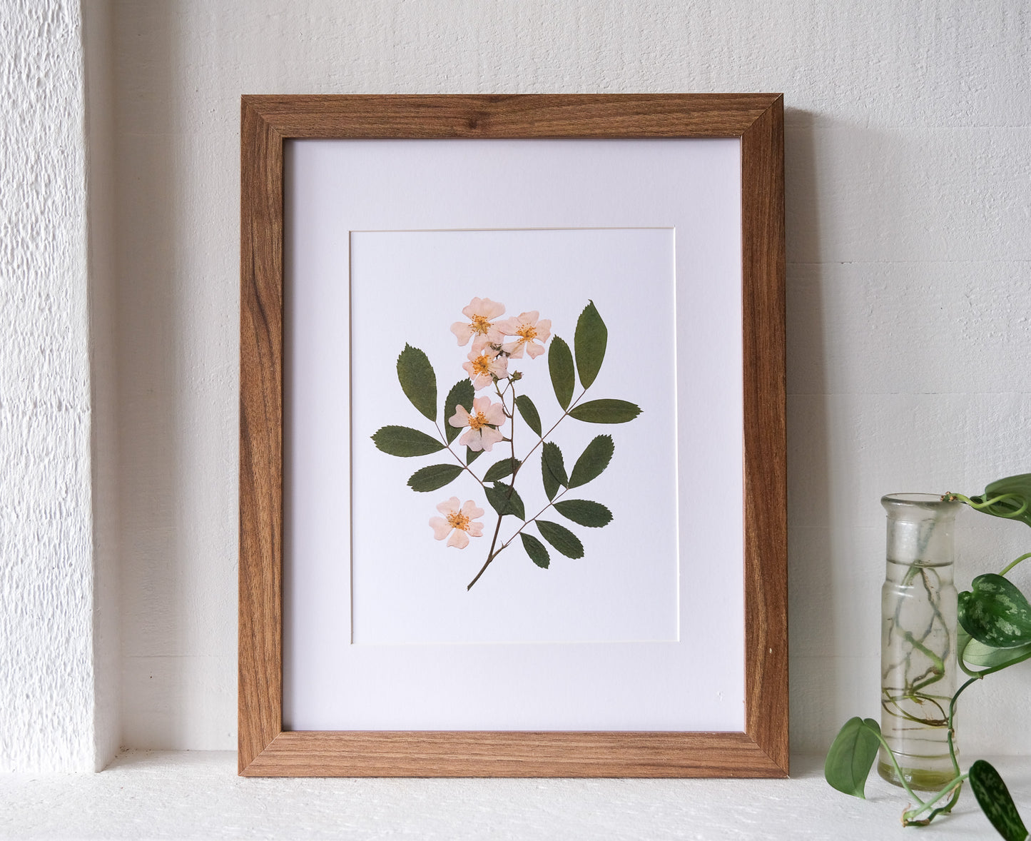 Wild Rose Pressed Flower Print