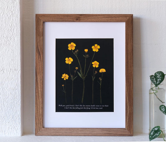 Pressed buttercup flower print with black background. Taylor Swift's Gold Rush lyrics are written in script at the bottom of the print. 