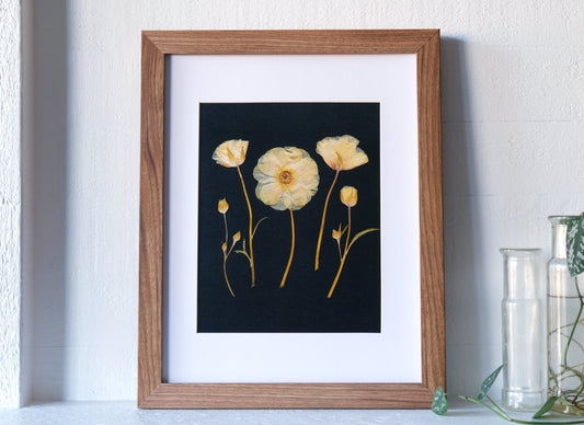 A lifelike reproduction of my original pressed flower art, featuring pressed yellow butterfly ranunculus. Complete with a card outlining the language of flowers symbolism. 