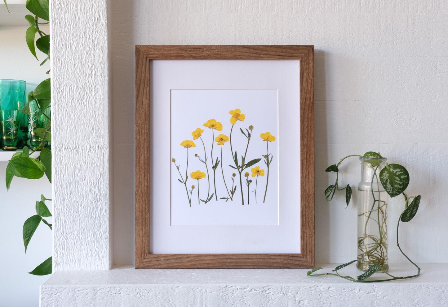 Buttercup Garden Pressed Flower Art Print on White Background