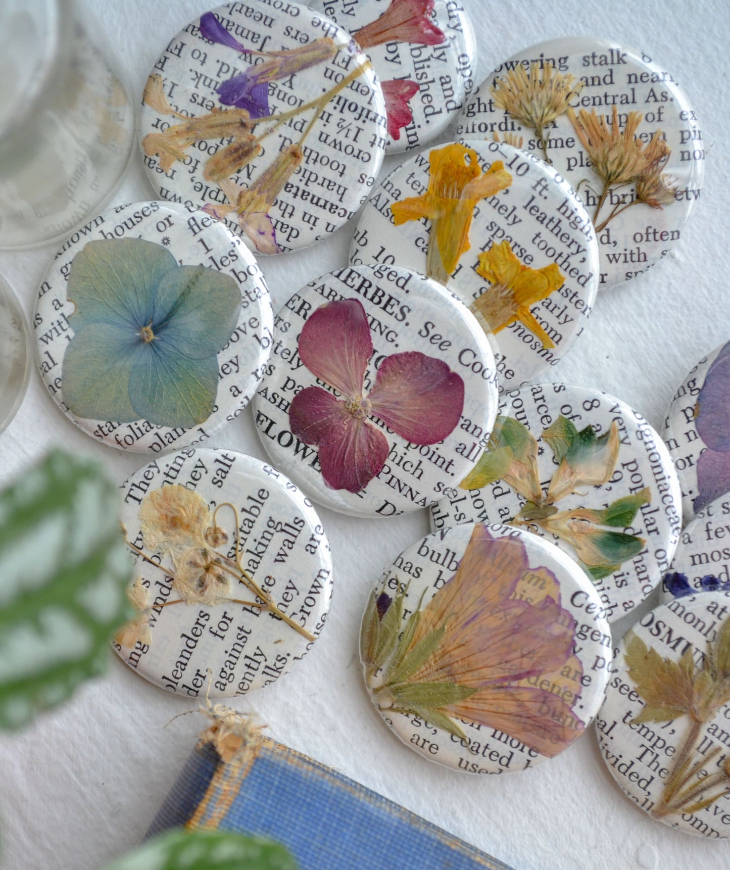 Set of Three Real Pressed Flower Magnets