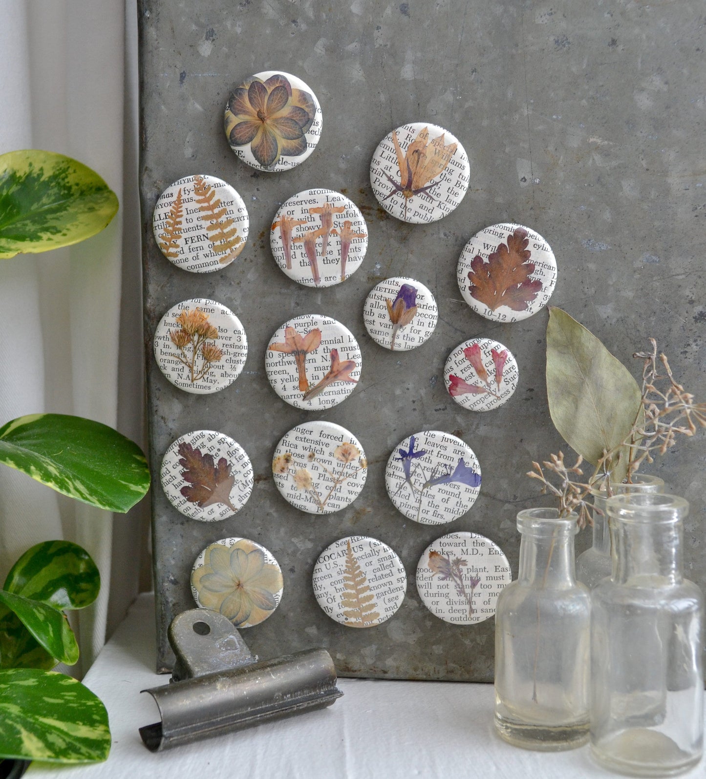 Set of Three Real Pressed Flower Magnets