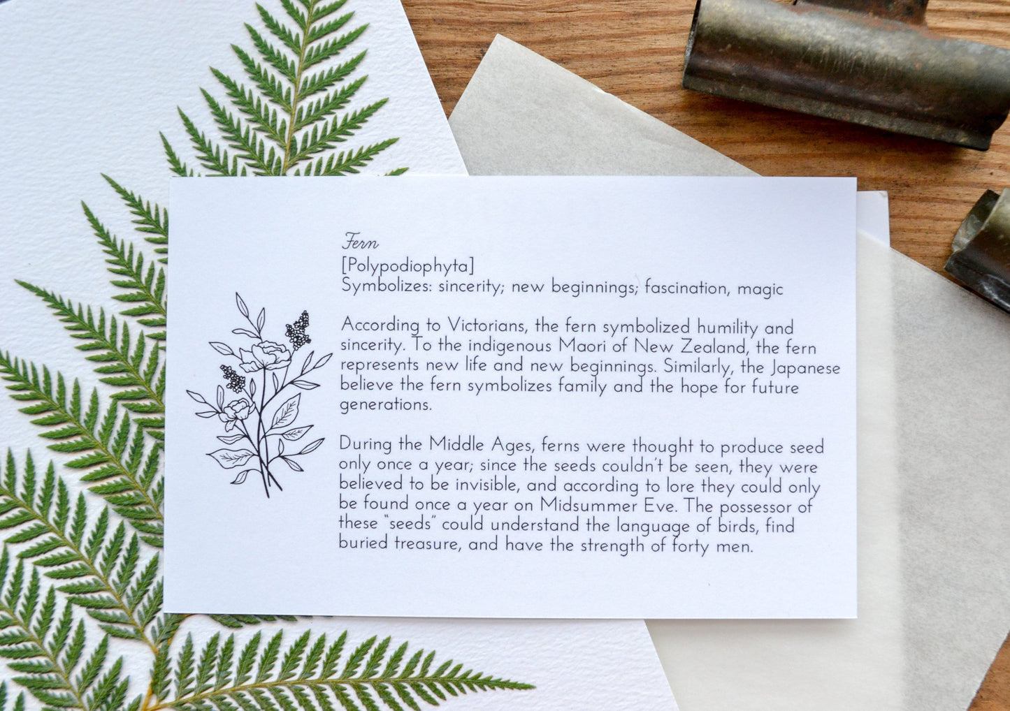 Pressed Fern Duo Art Print | 8x10 Print