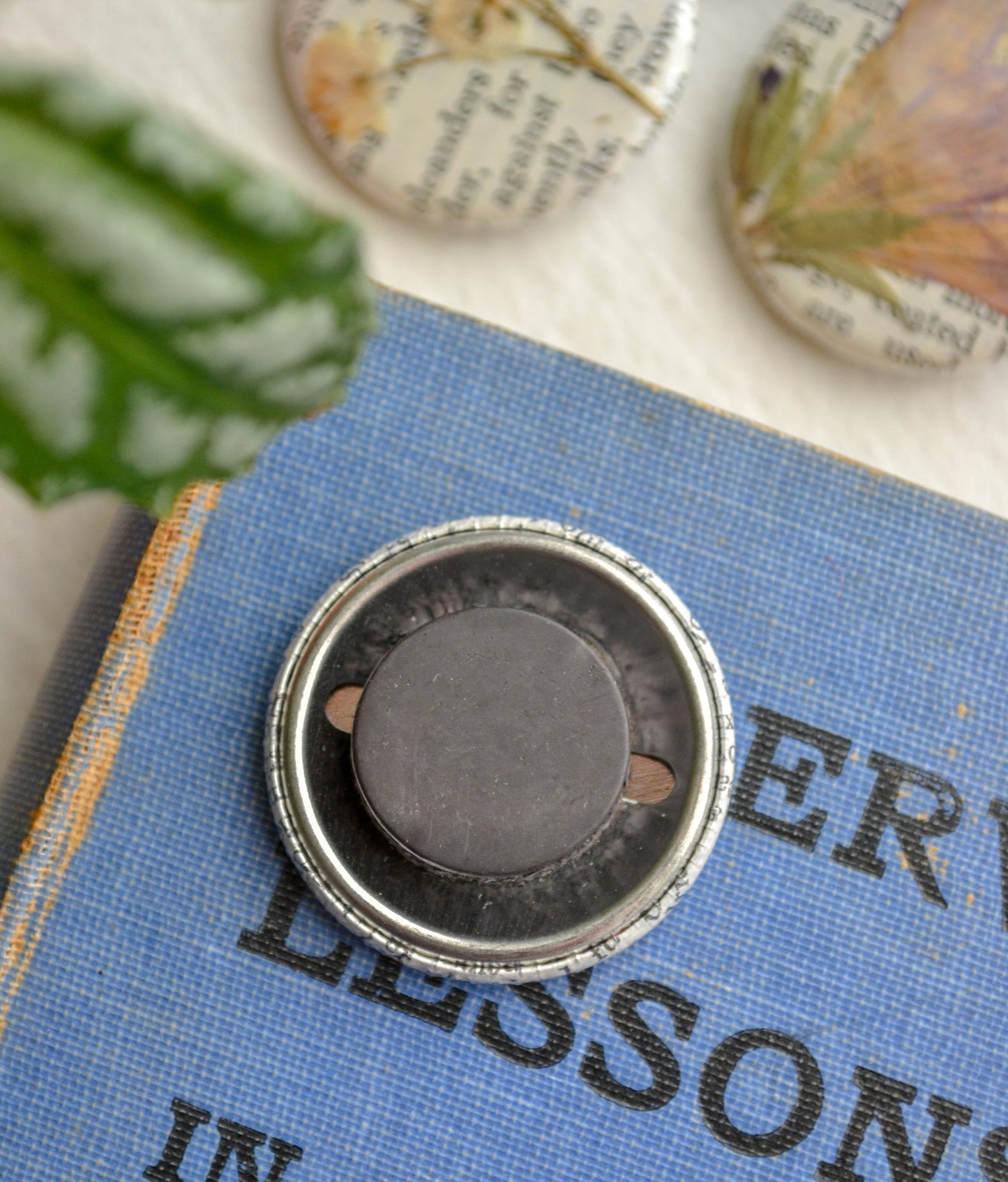 Set of Three Real Pressed Flower Magnets