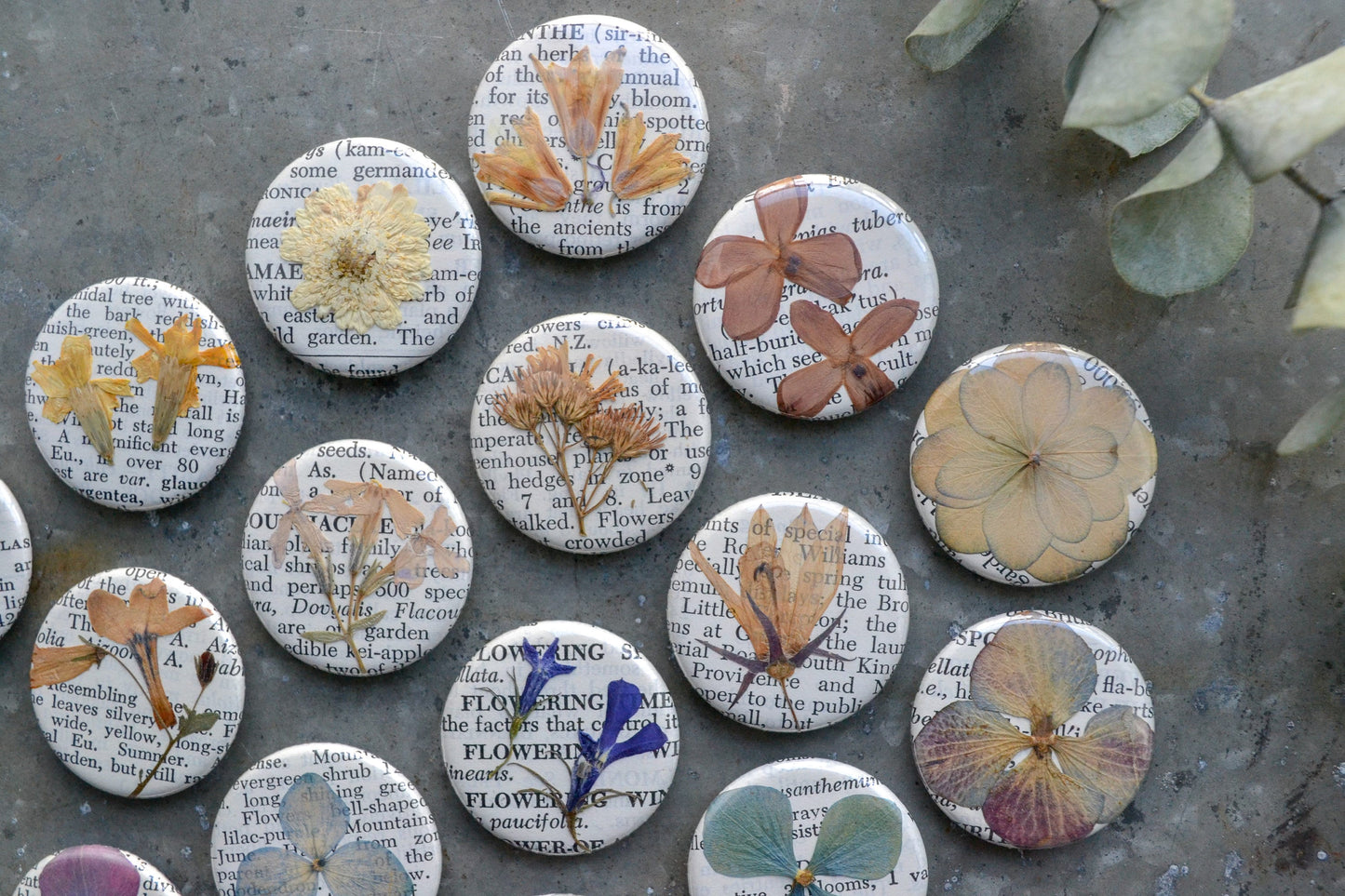 Set of Five Real Pressed Flower Magnets