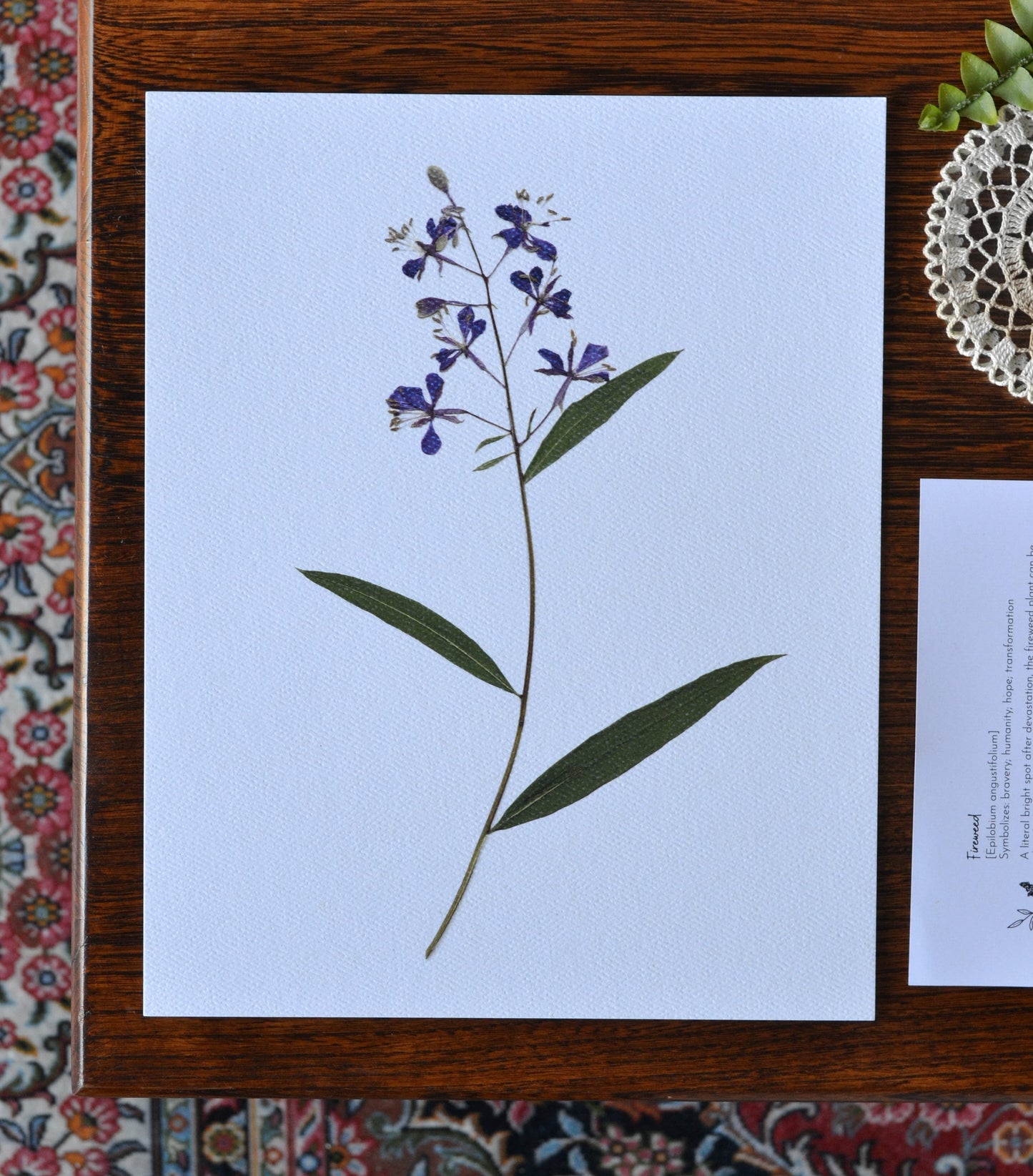 Fireweed Pressed Flower Print | 8 x 10