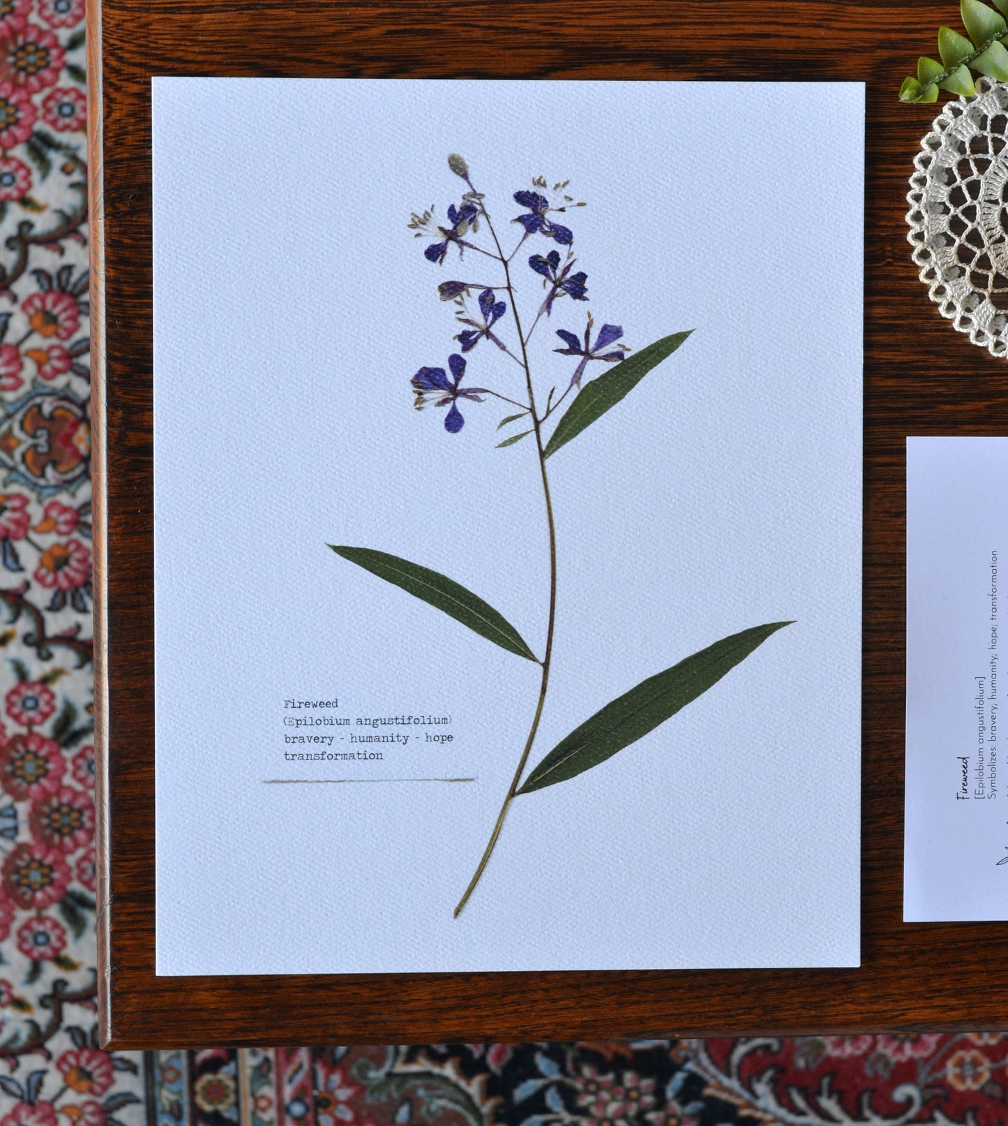 Fireweed Pressed Flower Print | 8 x 10