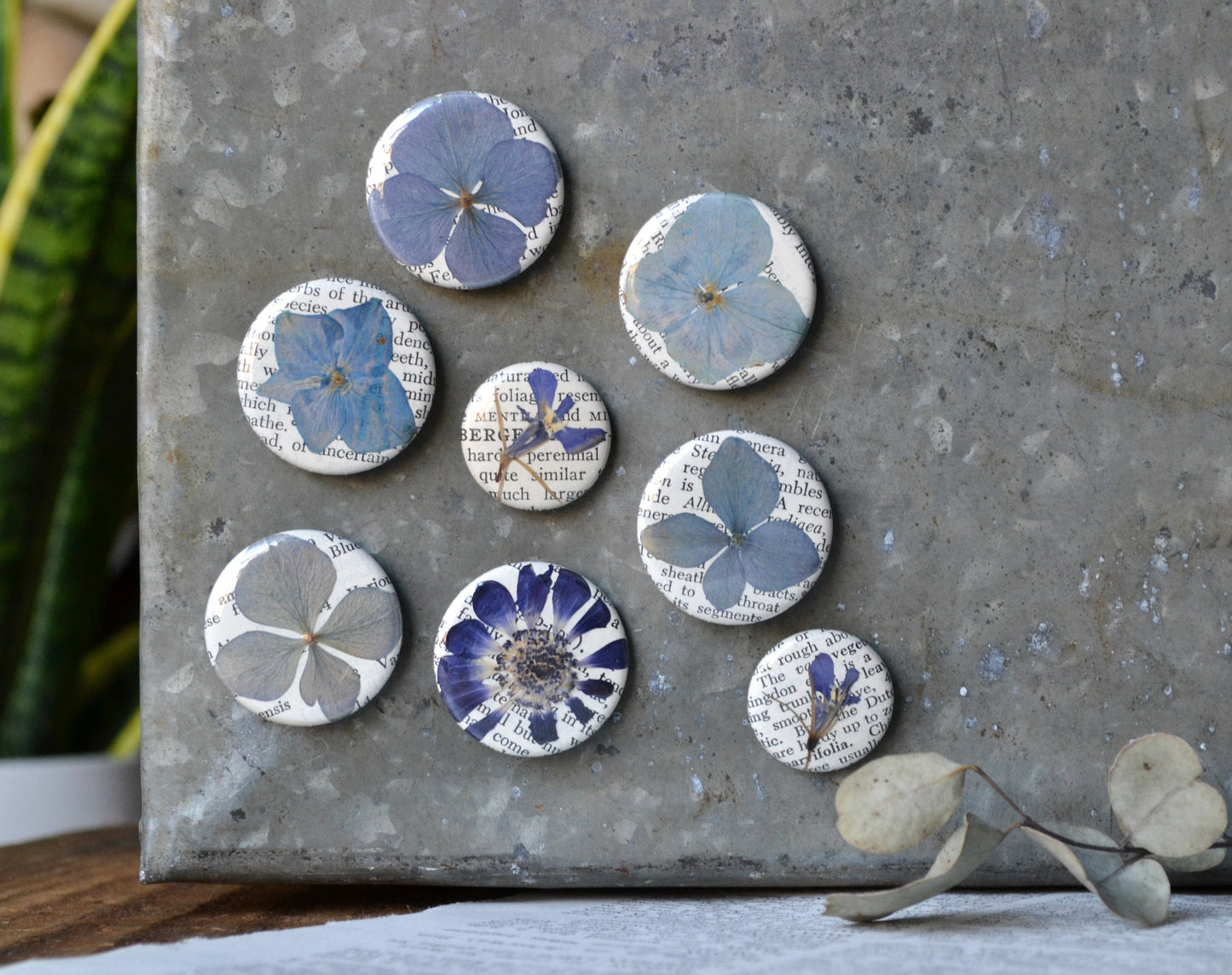 Real Pressed Flower Magnets - Blue Shades