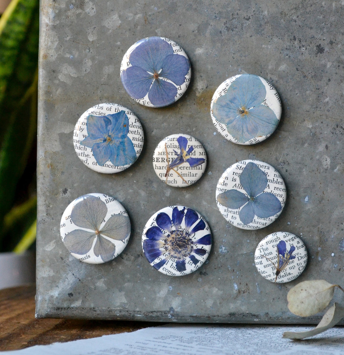 Real Pressed Flower Magnets - Blue Shades