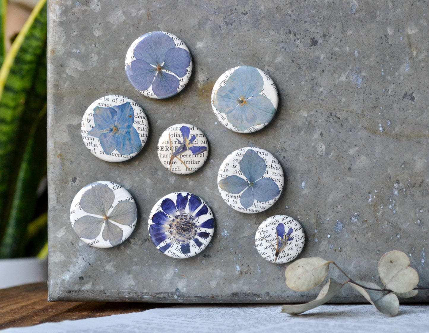 Set of Three Real Pressed Flower Magnets