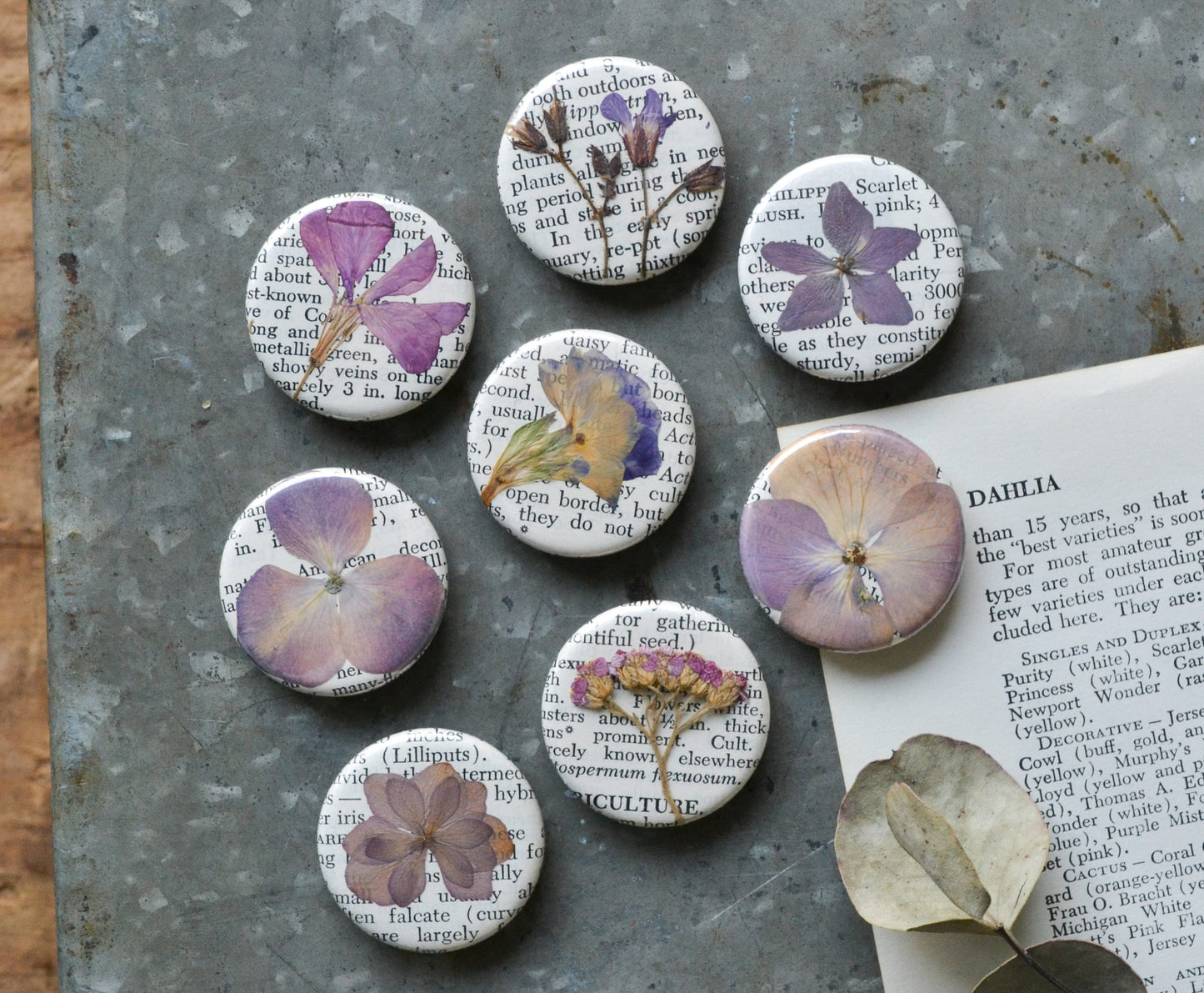 Real pressed flower magnets in purple and pink tones, on pages from a vintage gardening encyclopedia. 