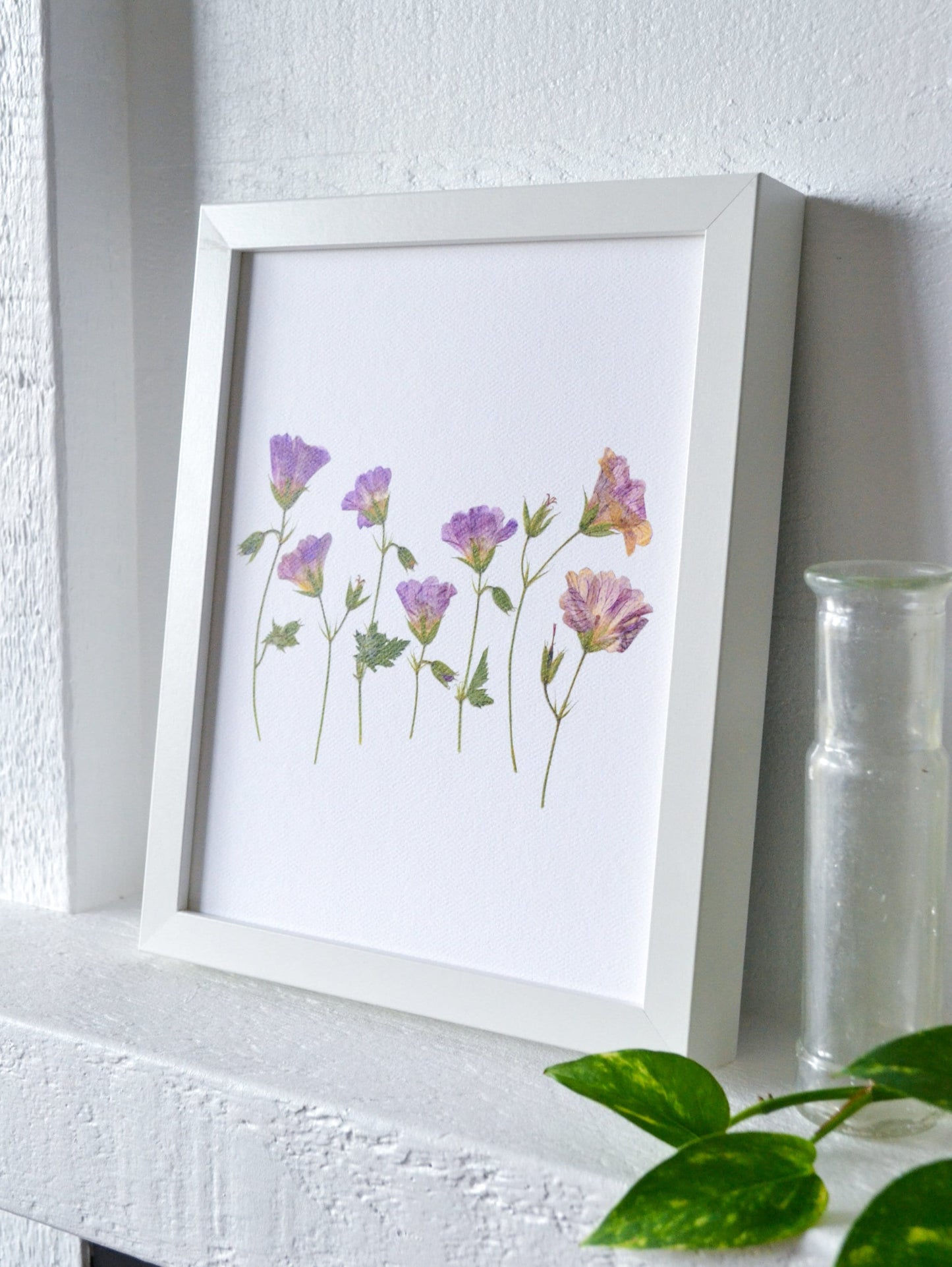 Wild Geranium Pressed Flower Print | 8 x 10