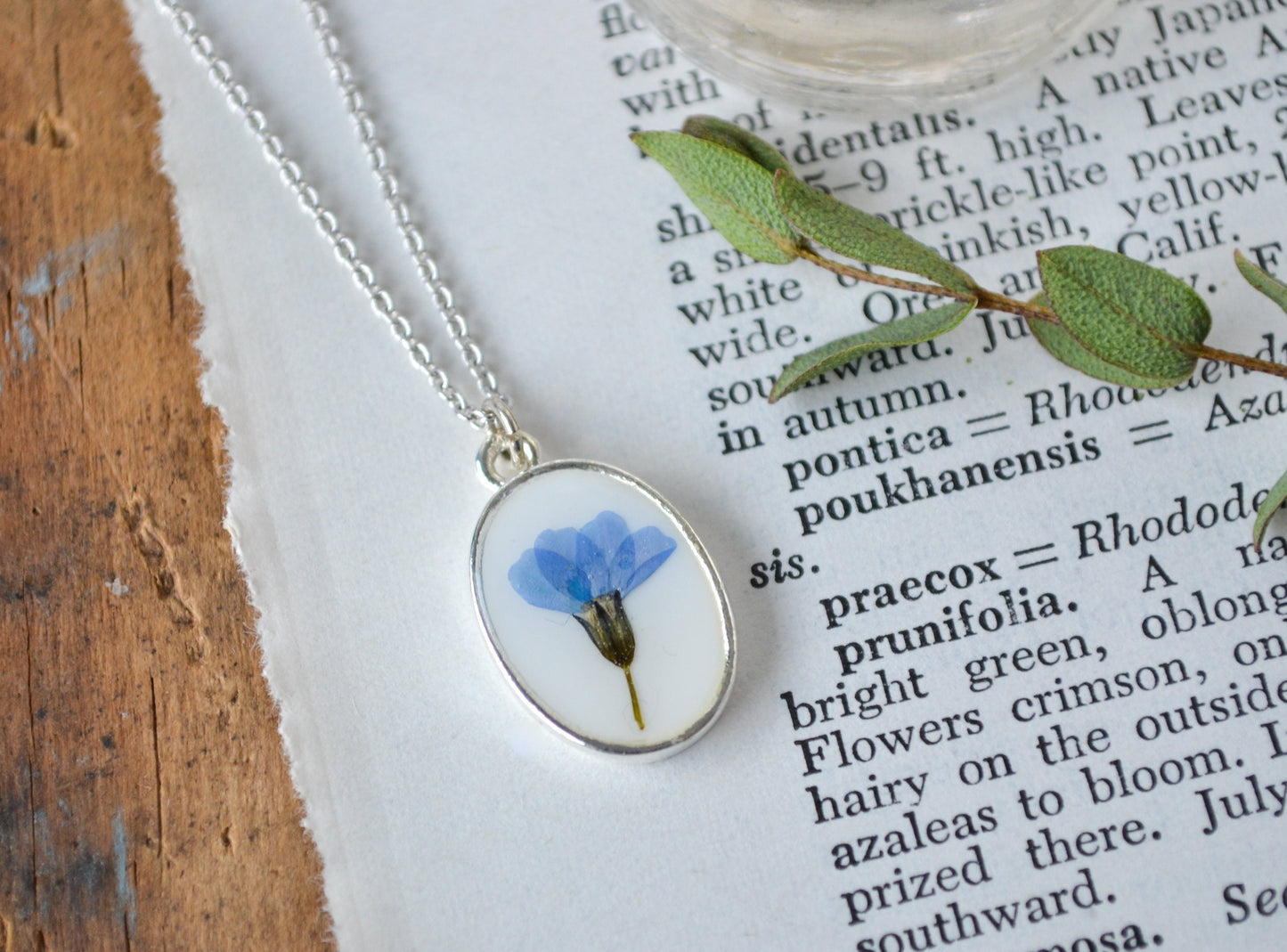 Delicate Forget Me Not Pressed Flower Necklace