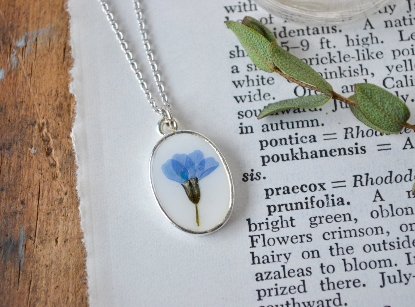 Delicate Forget Me Not Pressed Flower Necklace