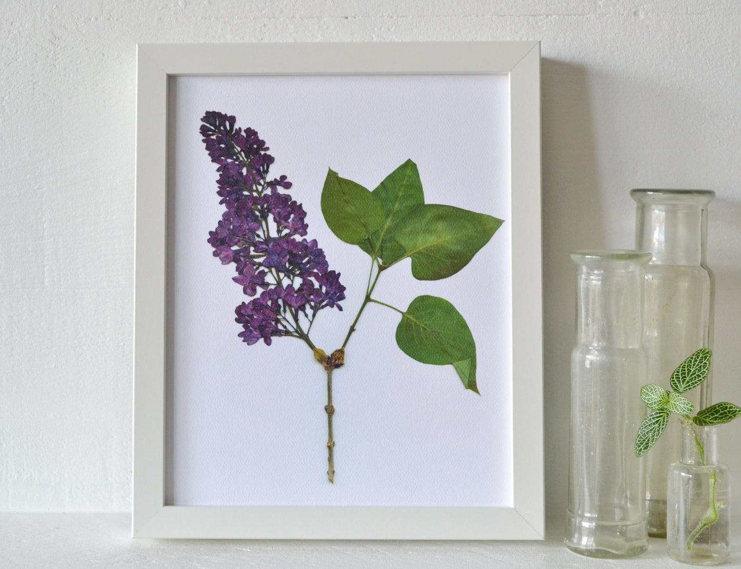 Pressed Purple Lilac Flower Print | 8x10