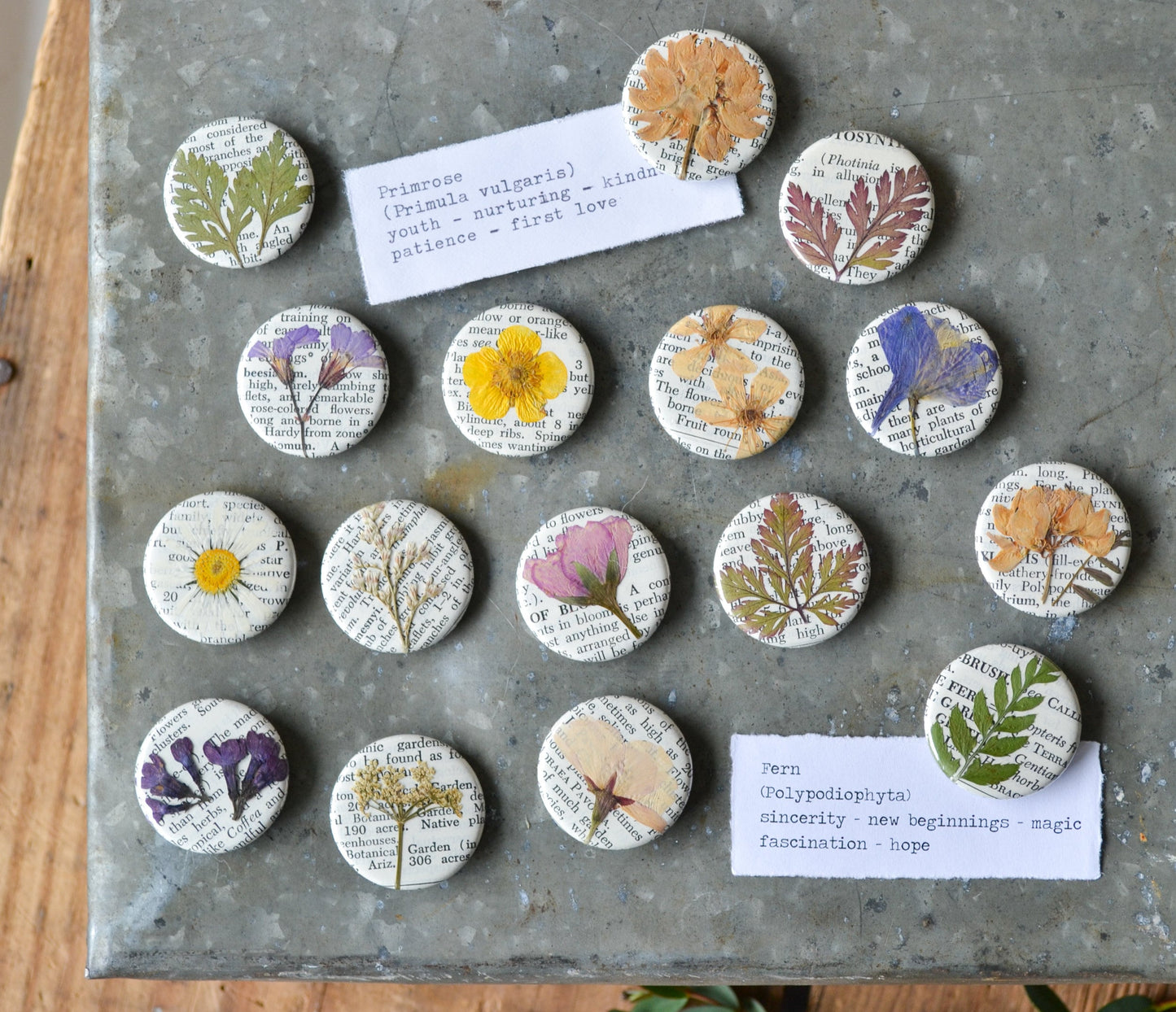 Set of Five Real Pressed Flower Magnets