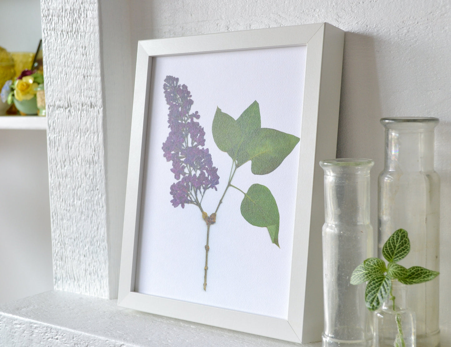 Pressed Purple Lilac Flower Print | 8x10