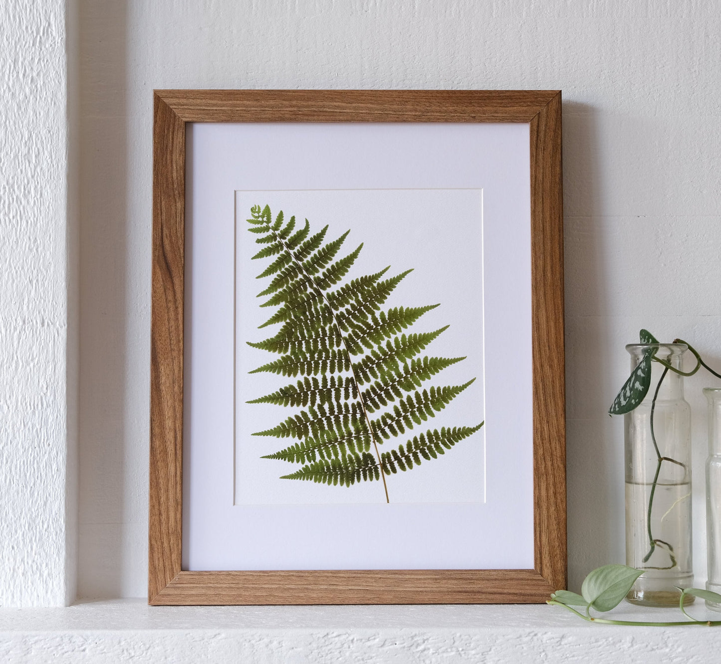 Woodland Fern Print | 8x10