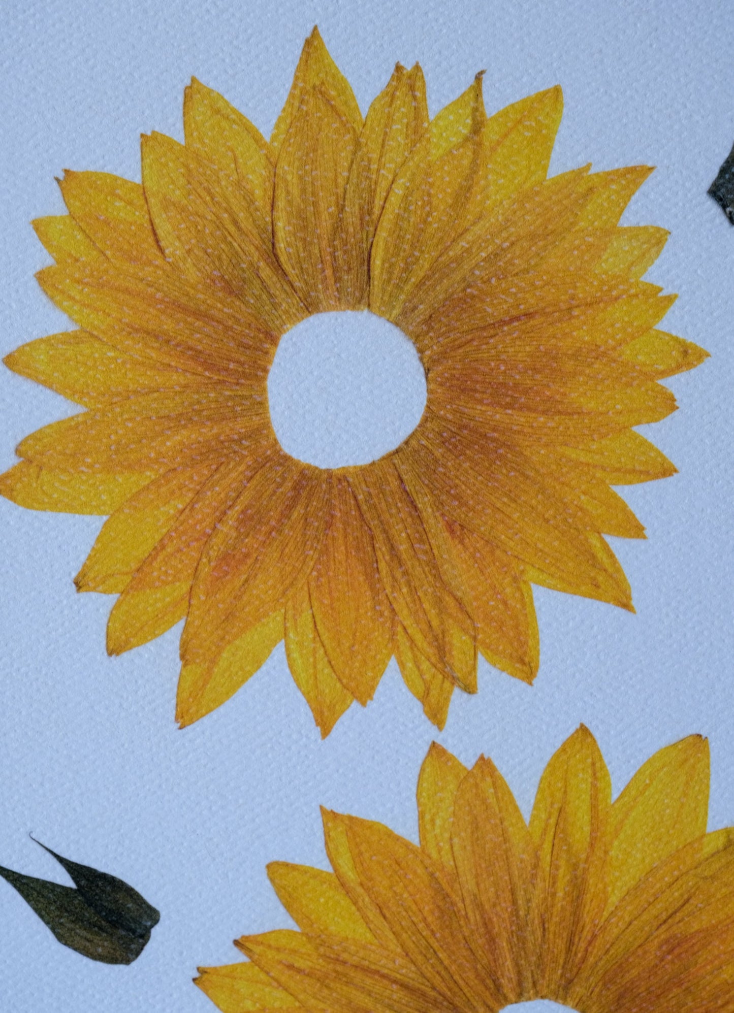 Pressed Sunflower Print | 8x10