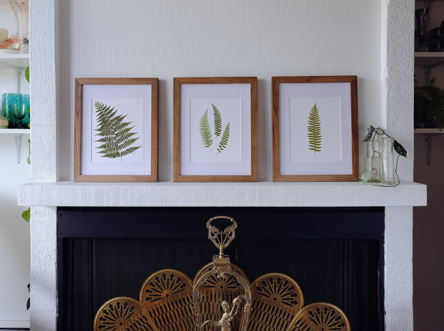 Single Pressed Fern Frond Print | 8 x 10