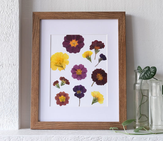 Primrose Pressed Flower Art Print | 8x10