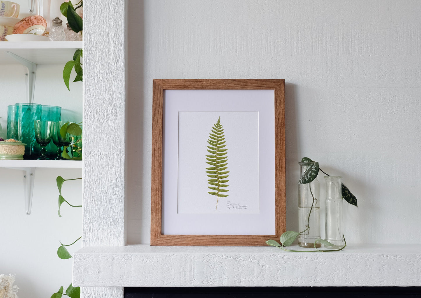 Single Pressed Fern Frond Print | 8 x 10