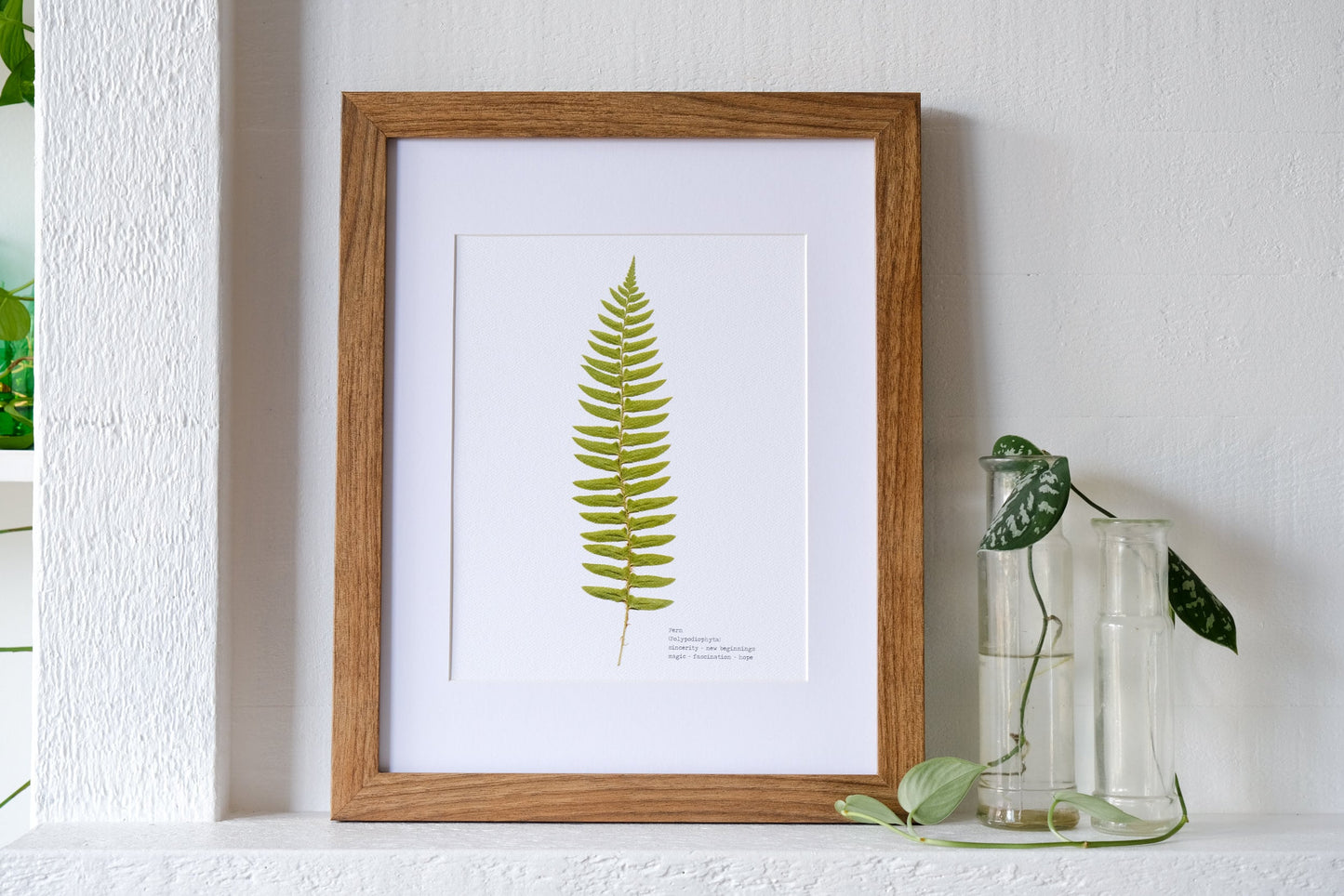 Single Pressed Fern Frond Print | 8 x 10