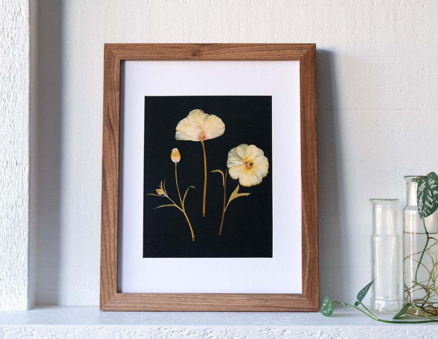 Yellow Ranunculus Trio Pressed Flower Print | 8x10