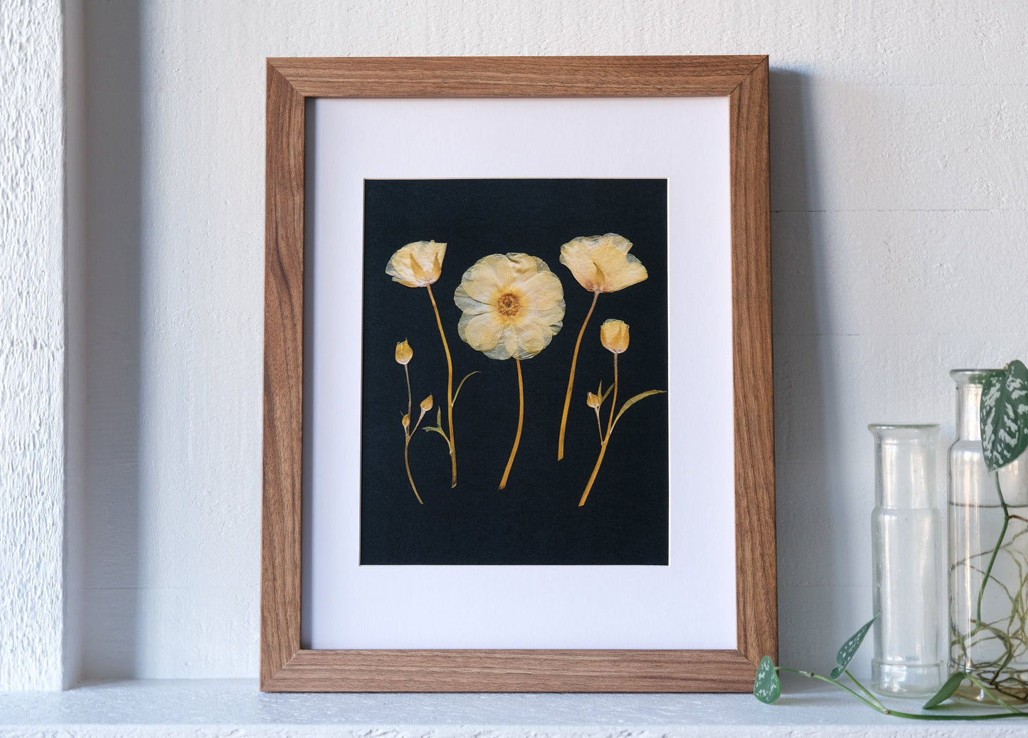 Yellow Ranunculus Group Pressed Flower Print | 8x10 Print